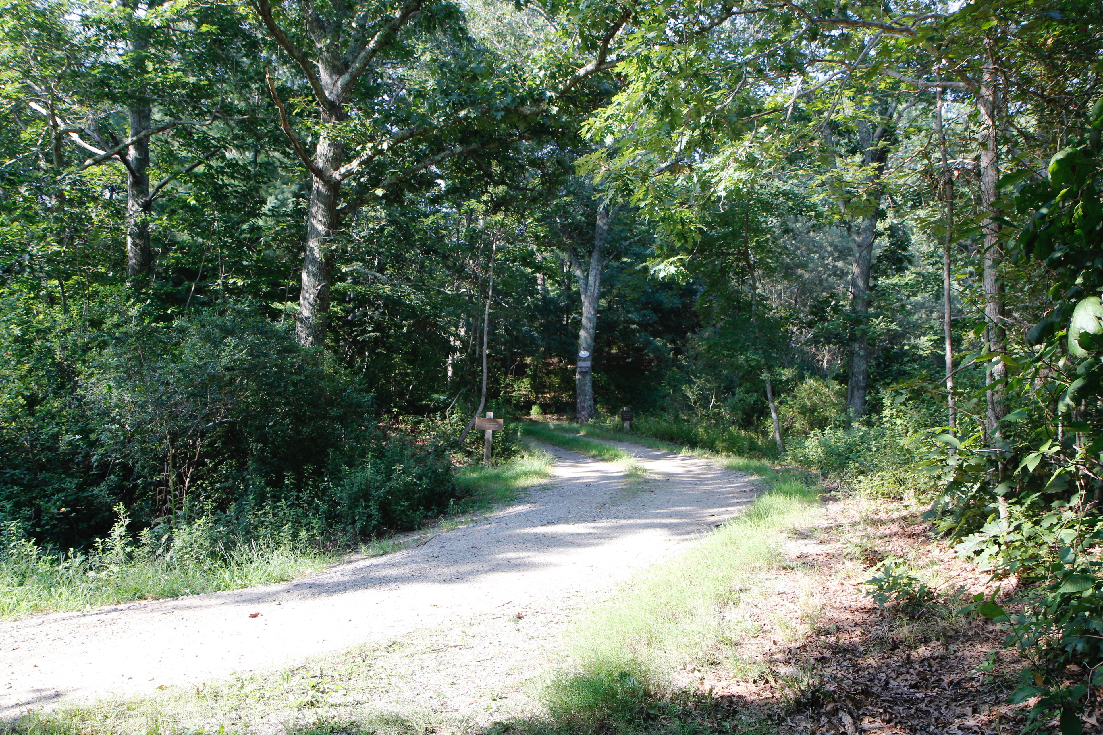 road at northern end of Wompesket Preserve