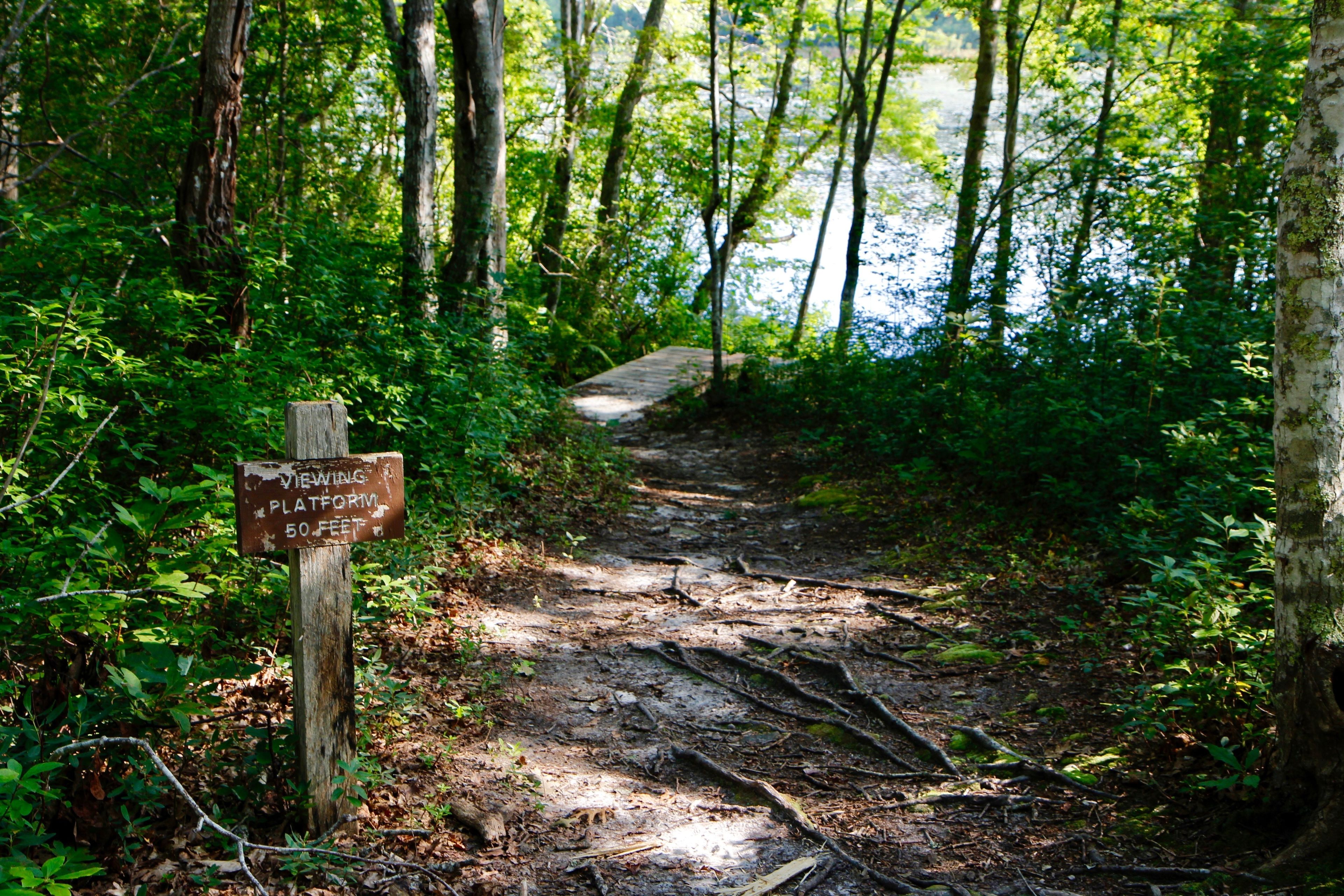 trail to viewpoint