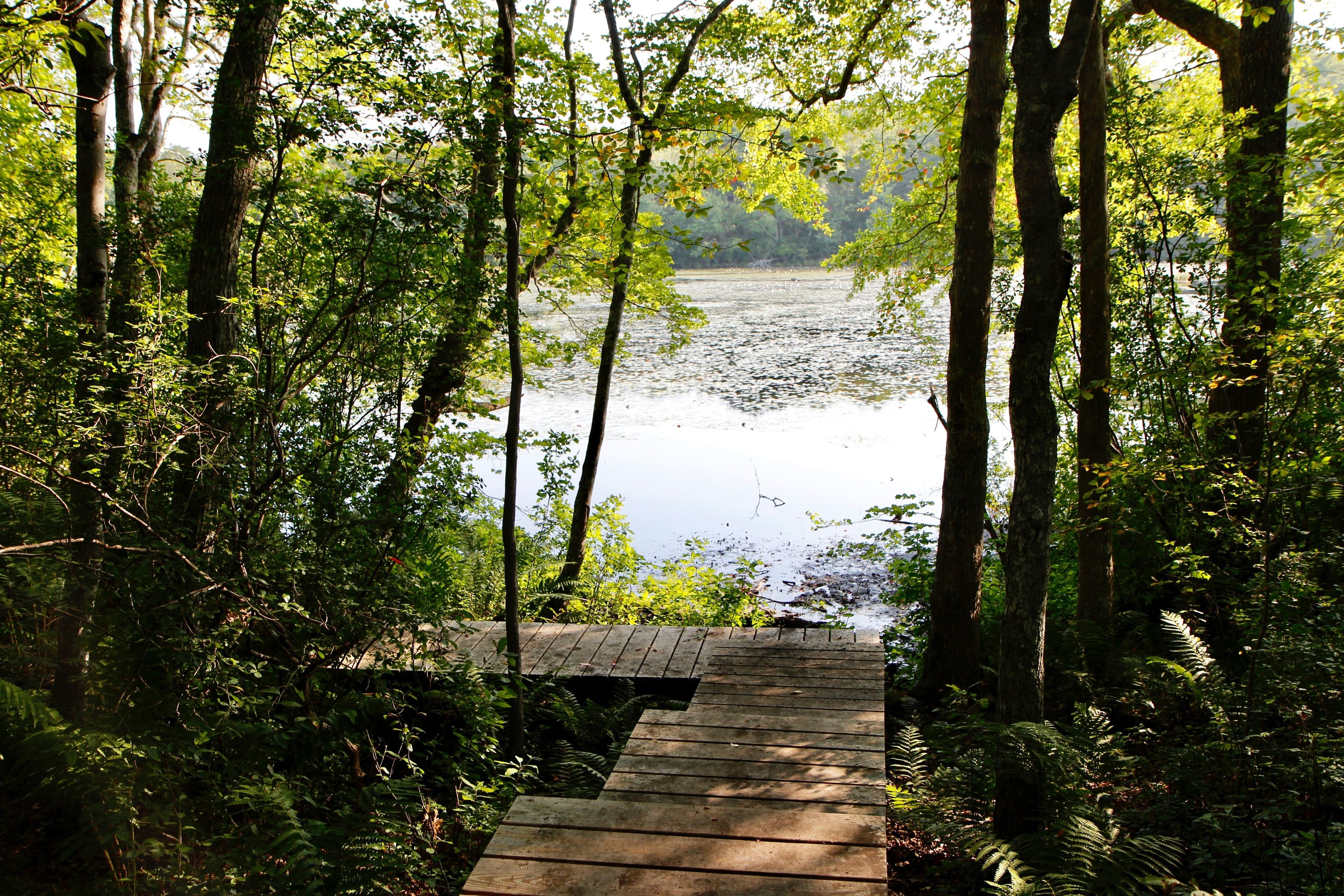 boardwalk