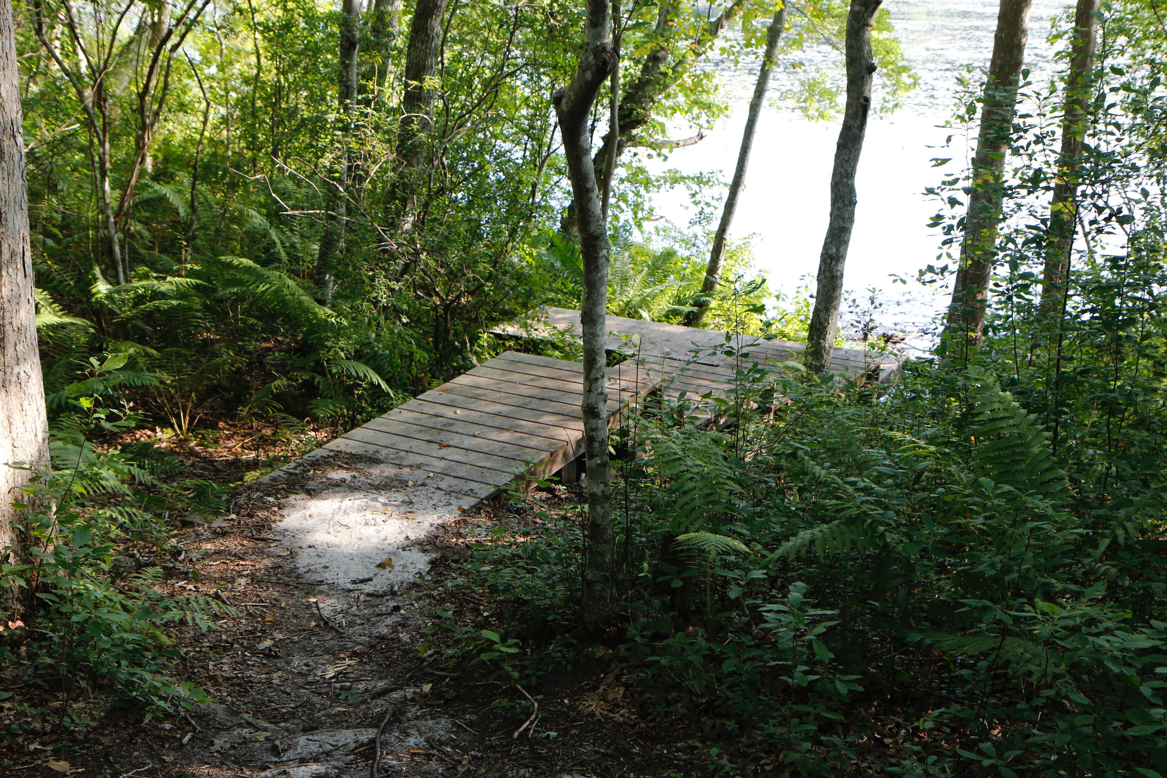 boardwalk