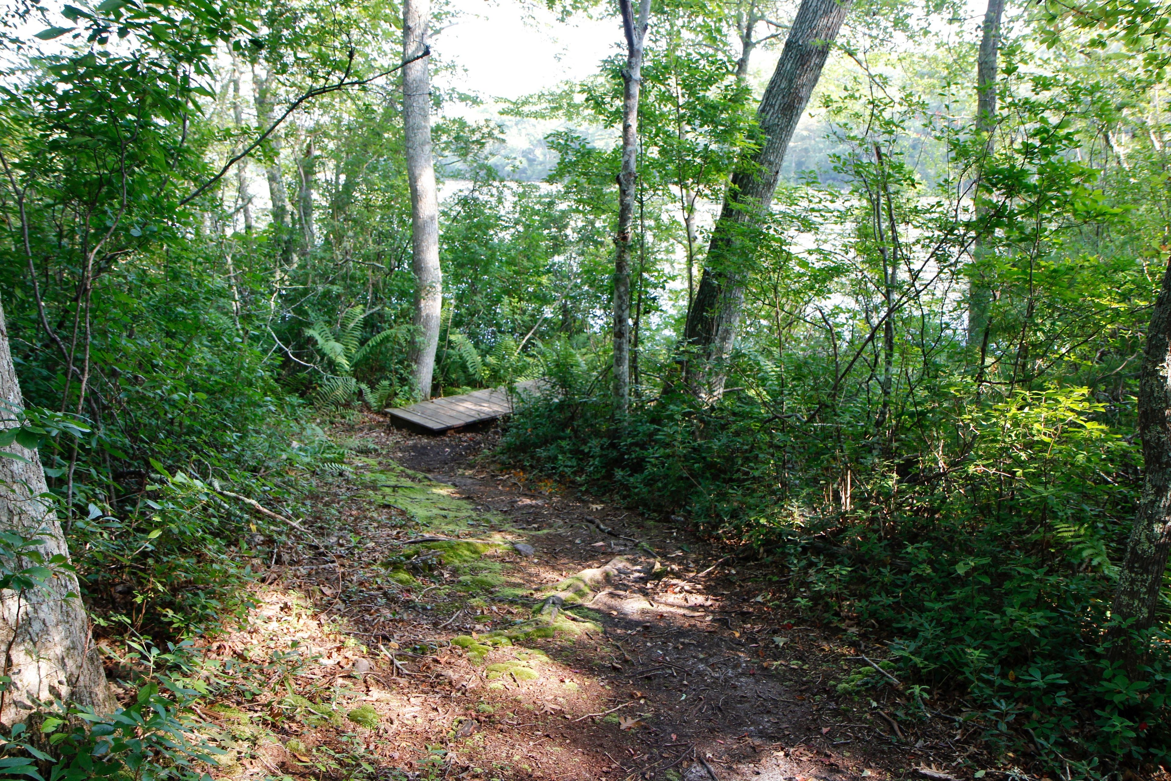 trail to viewpoint