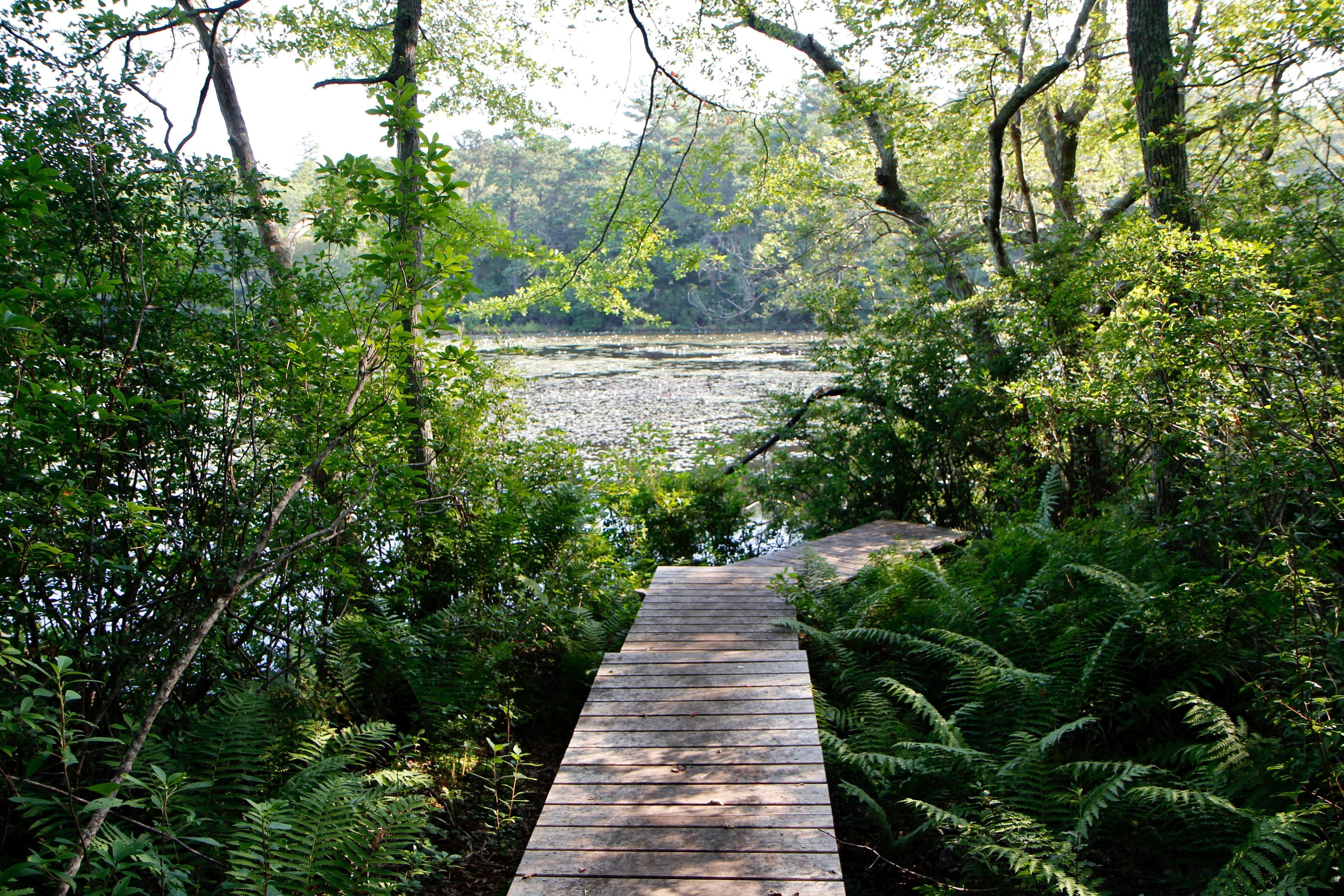 boardwalk