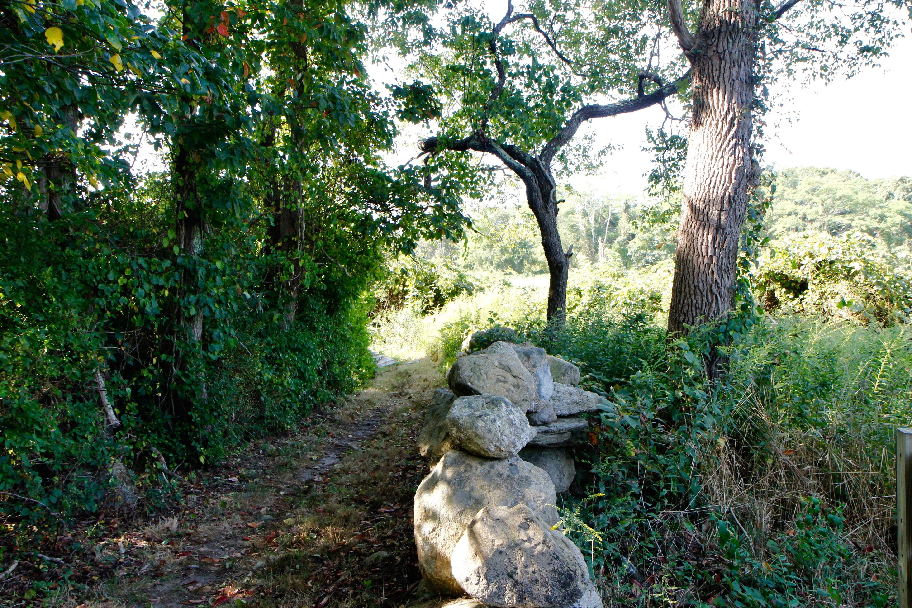 stone wall along trail