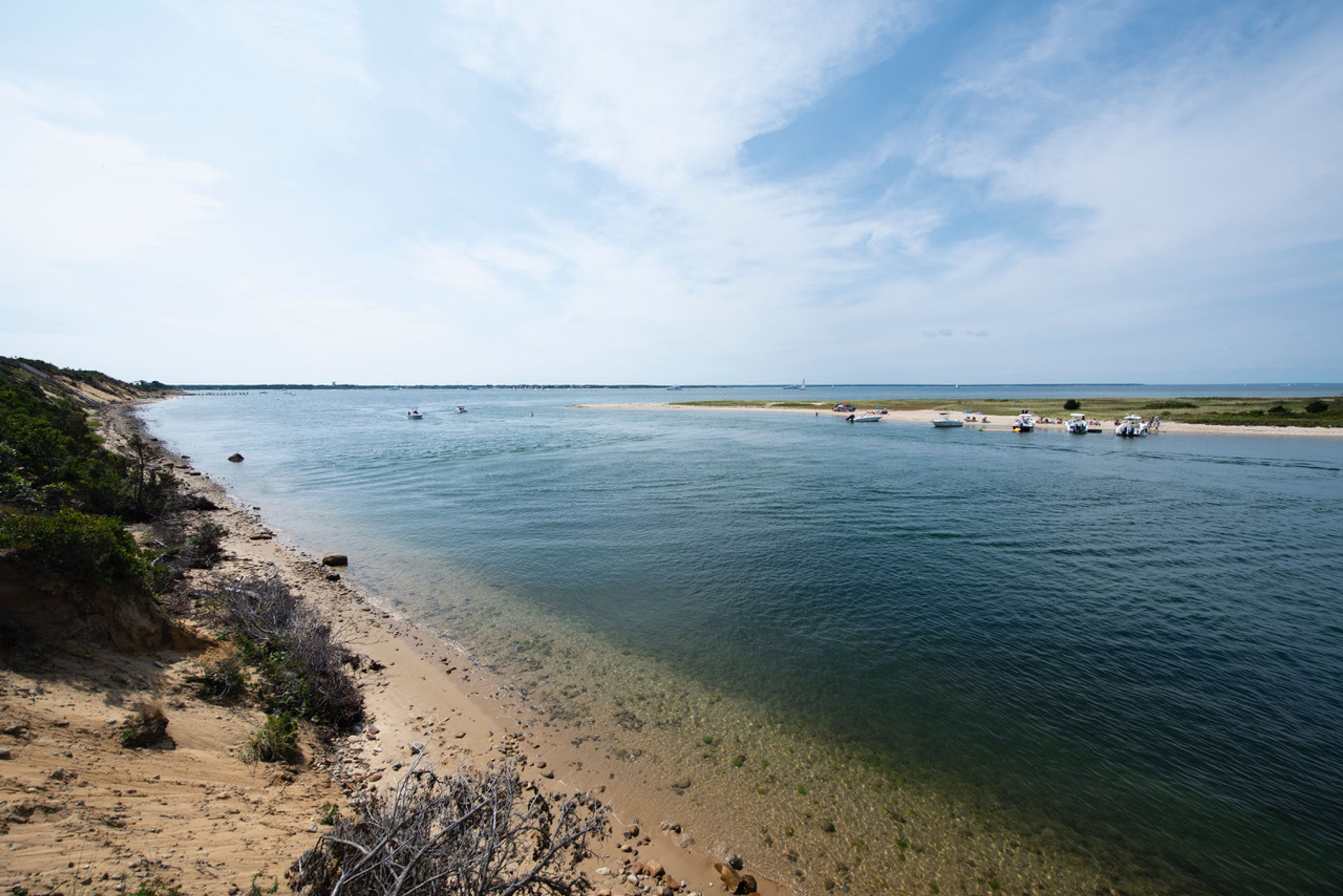 shore along Cape Poge Gut