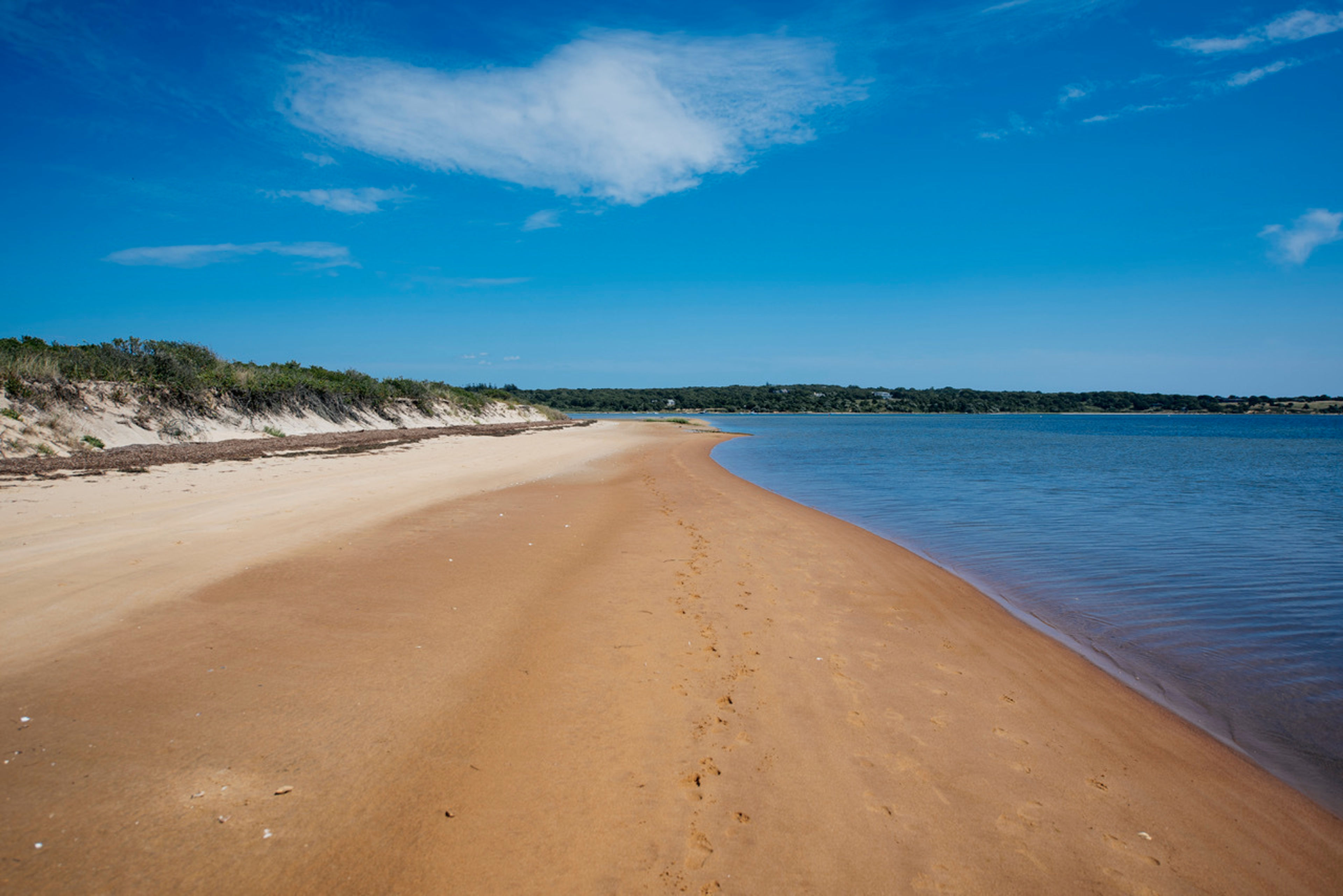 shore along Menemsha Pond