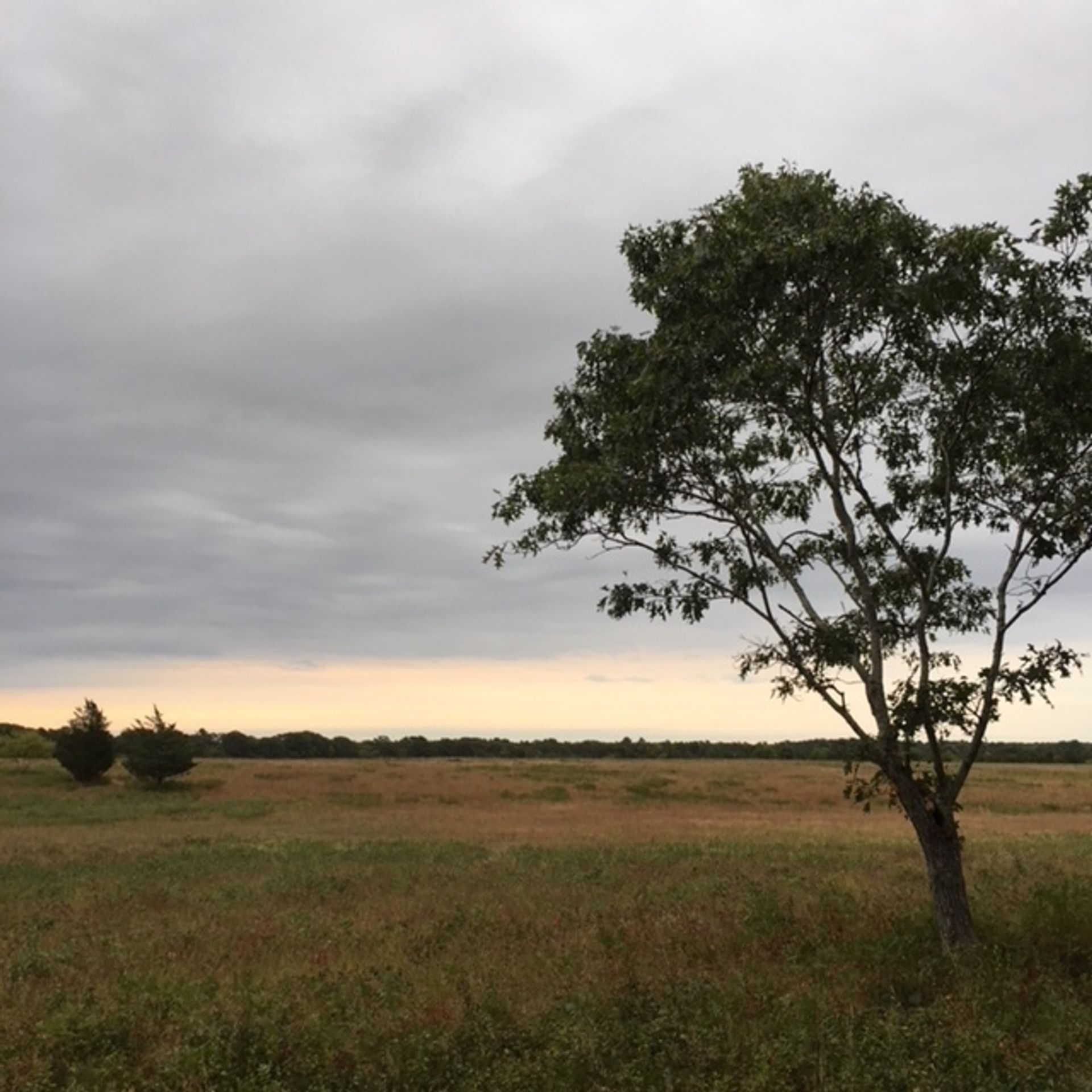 field view