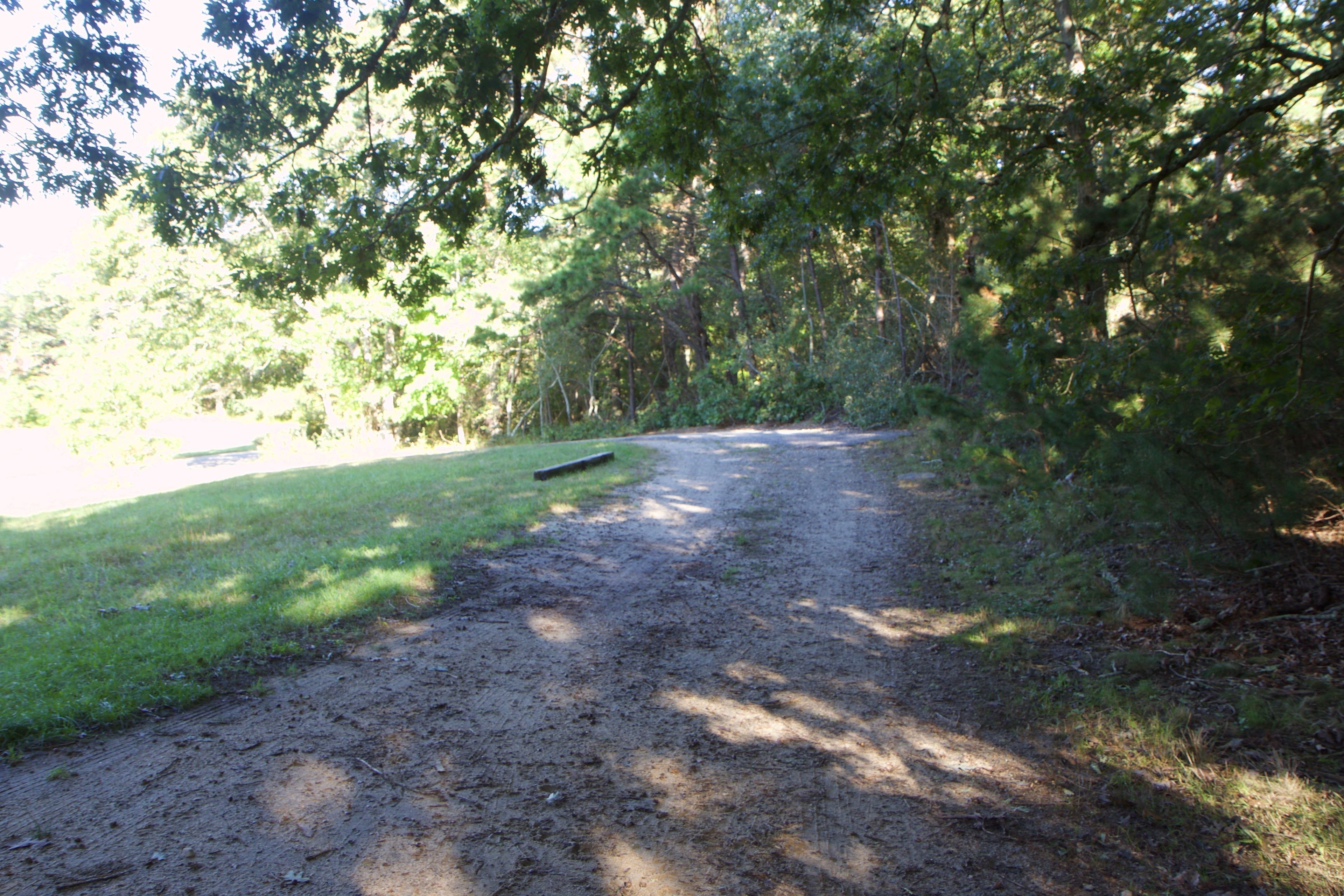 road from Wakeman Center