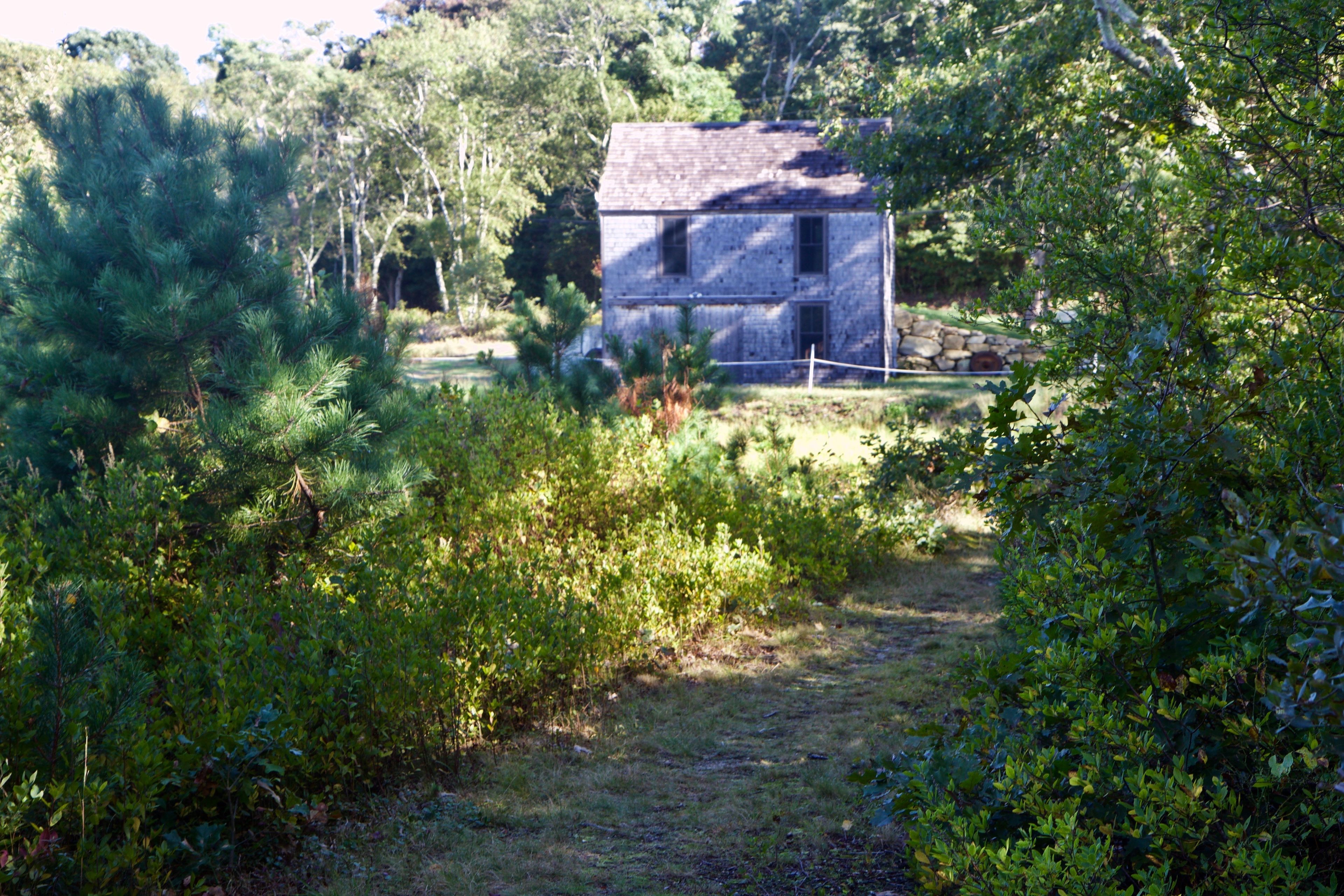 Cranberry processing barn