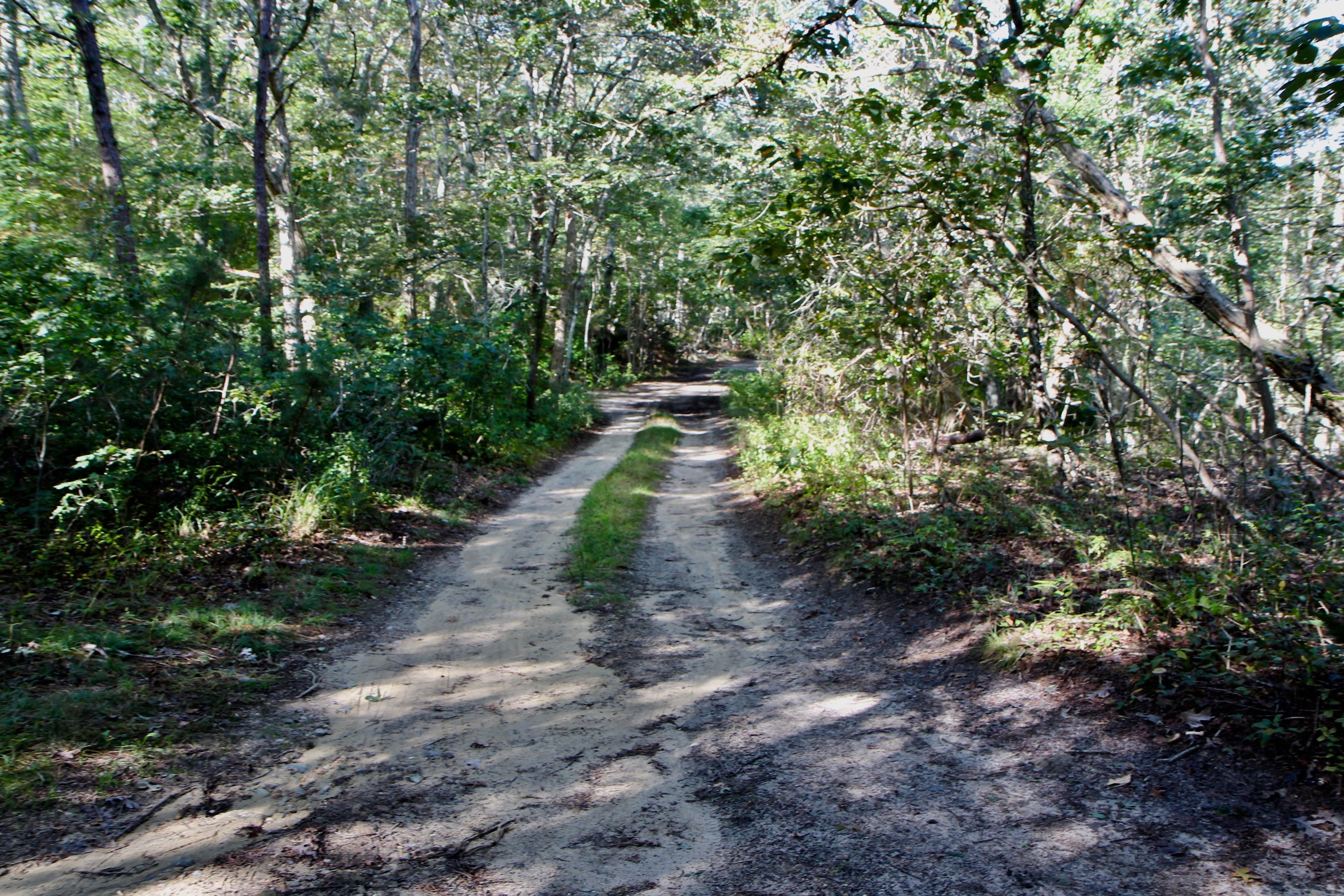 dirt road