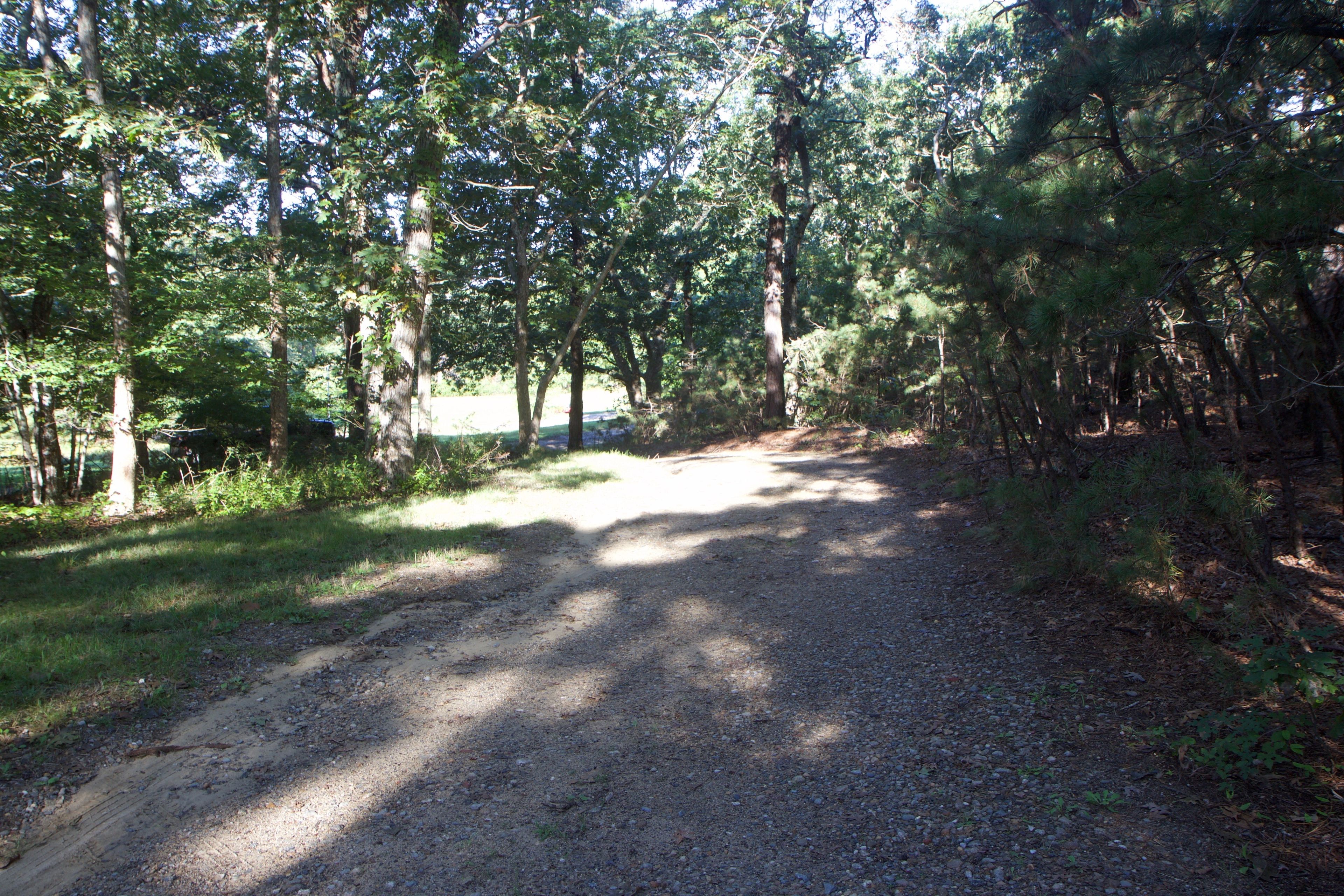 road down from Wakeman Center