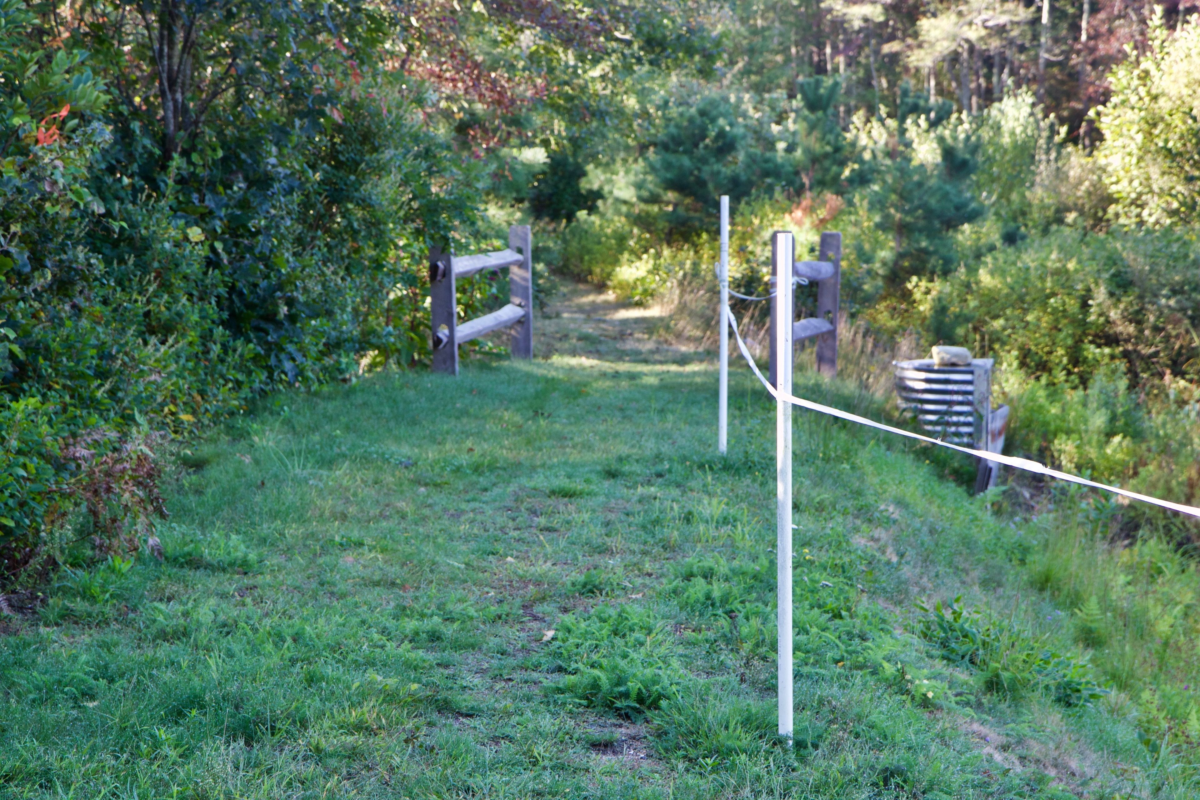 grassy trail