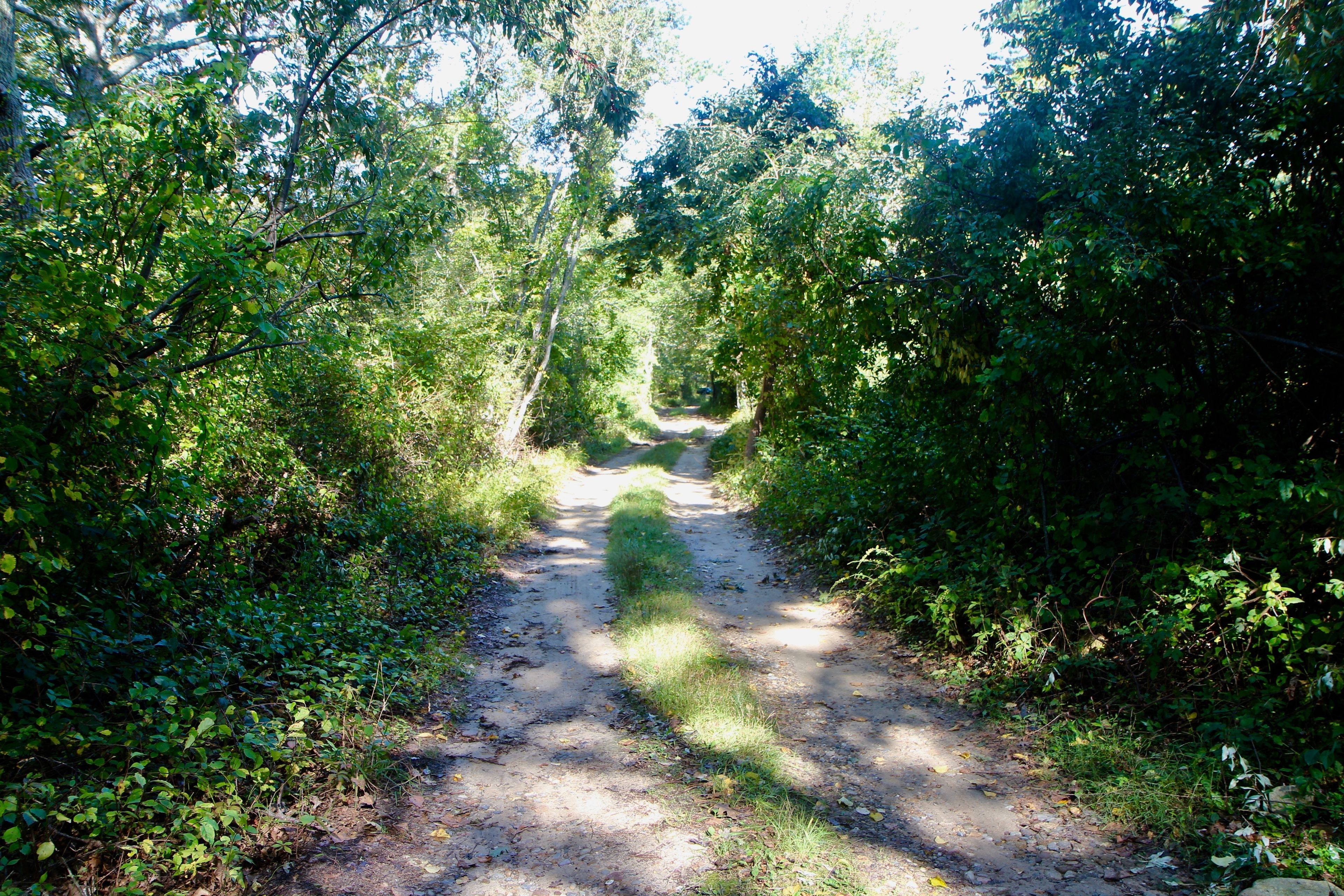 dirt road