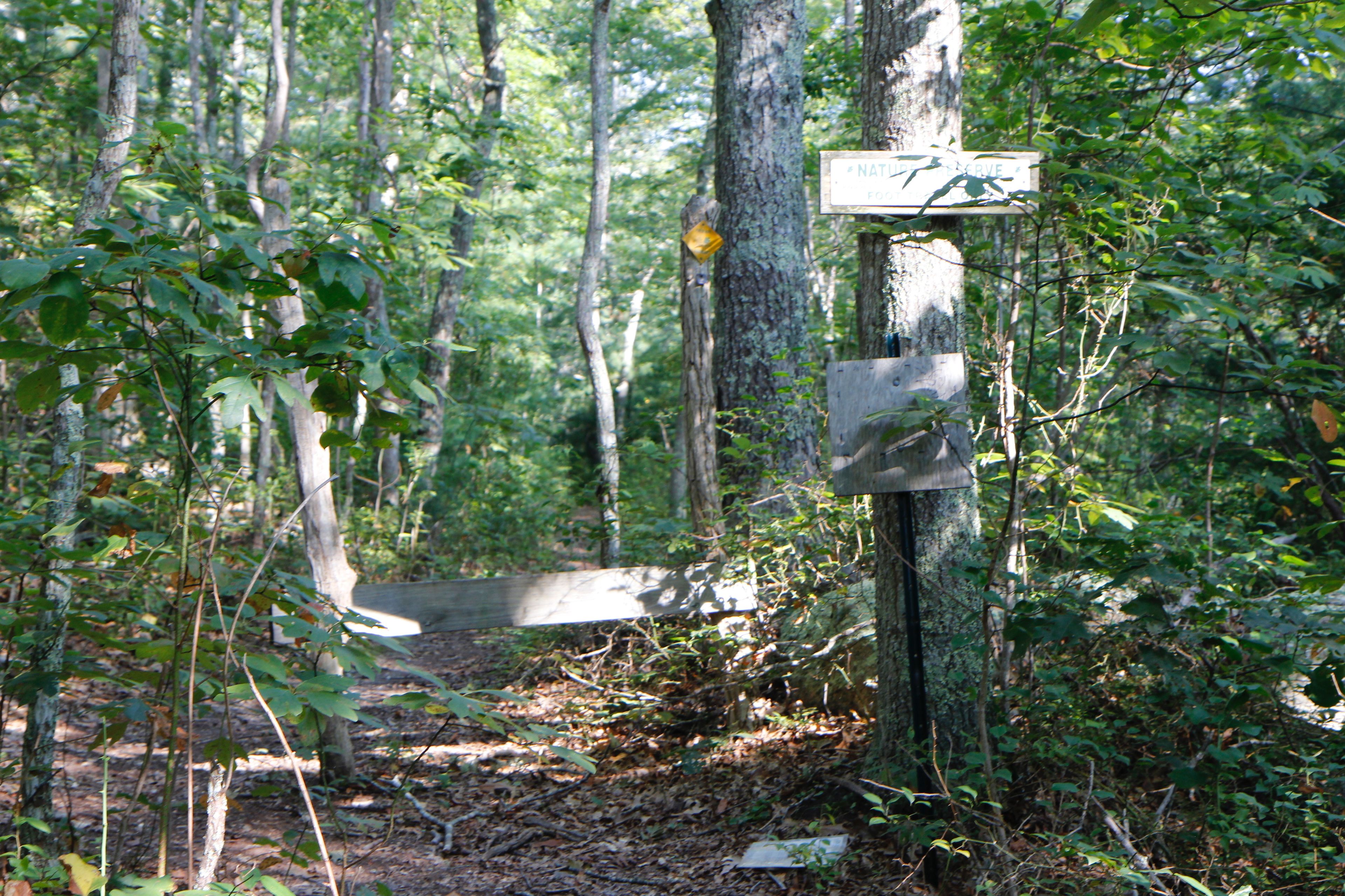 trail at Blackwater Pond Preserve end