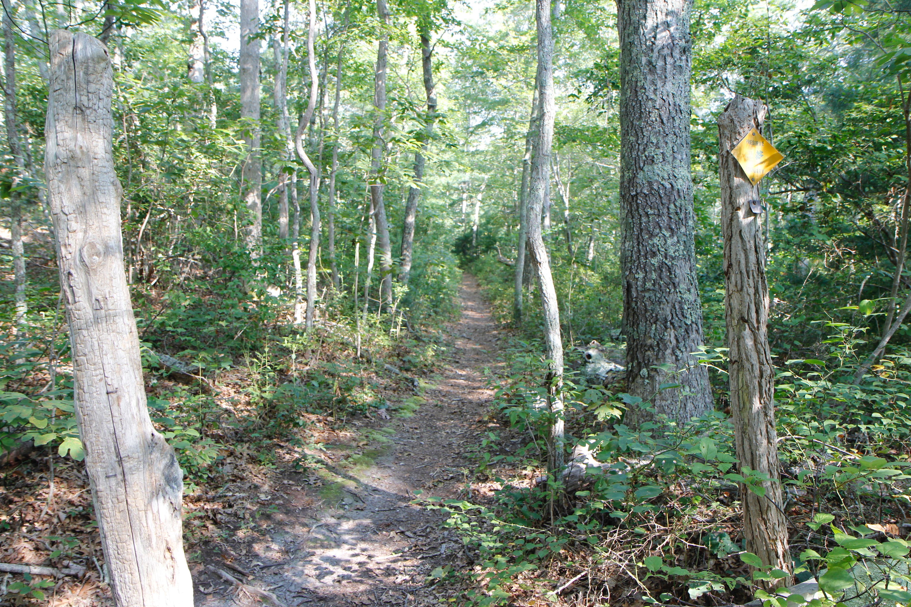 trail at Blackwater Pond Preserve end