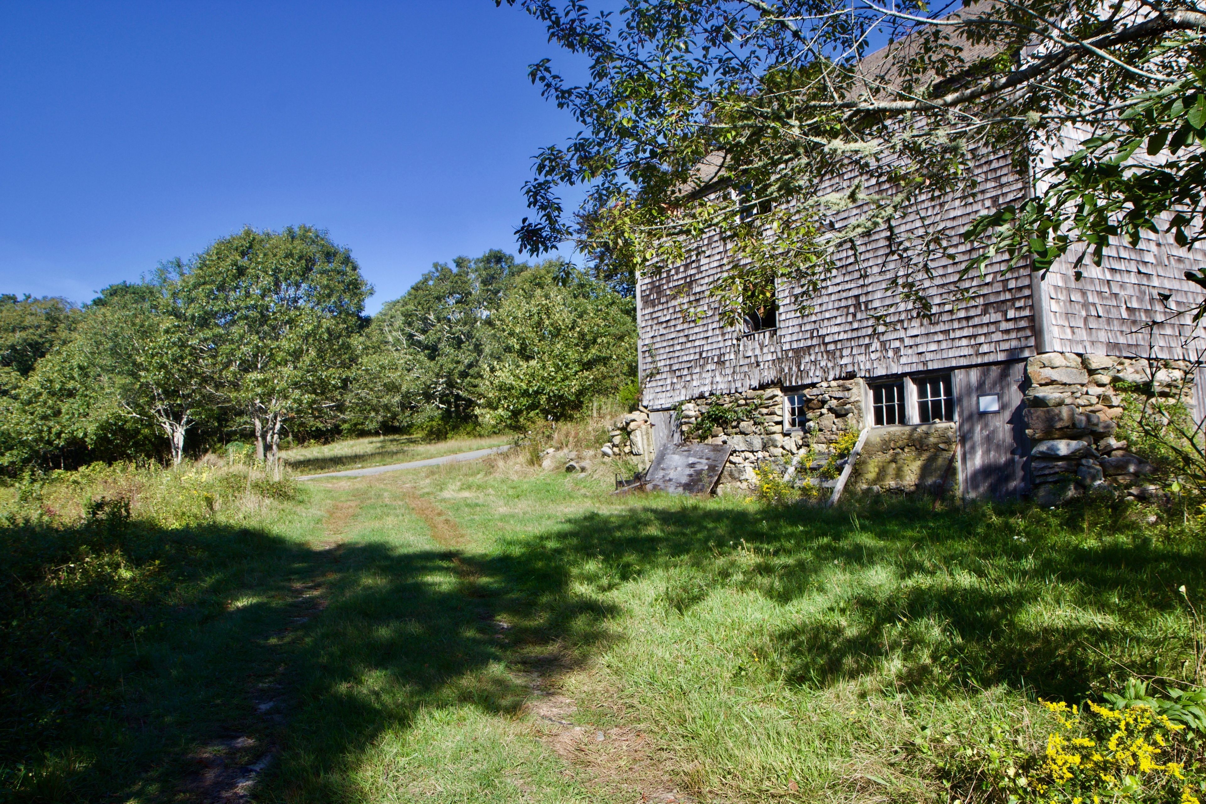 grassy trail alongside old barn