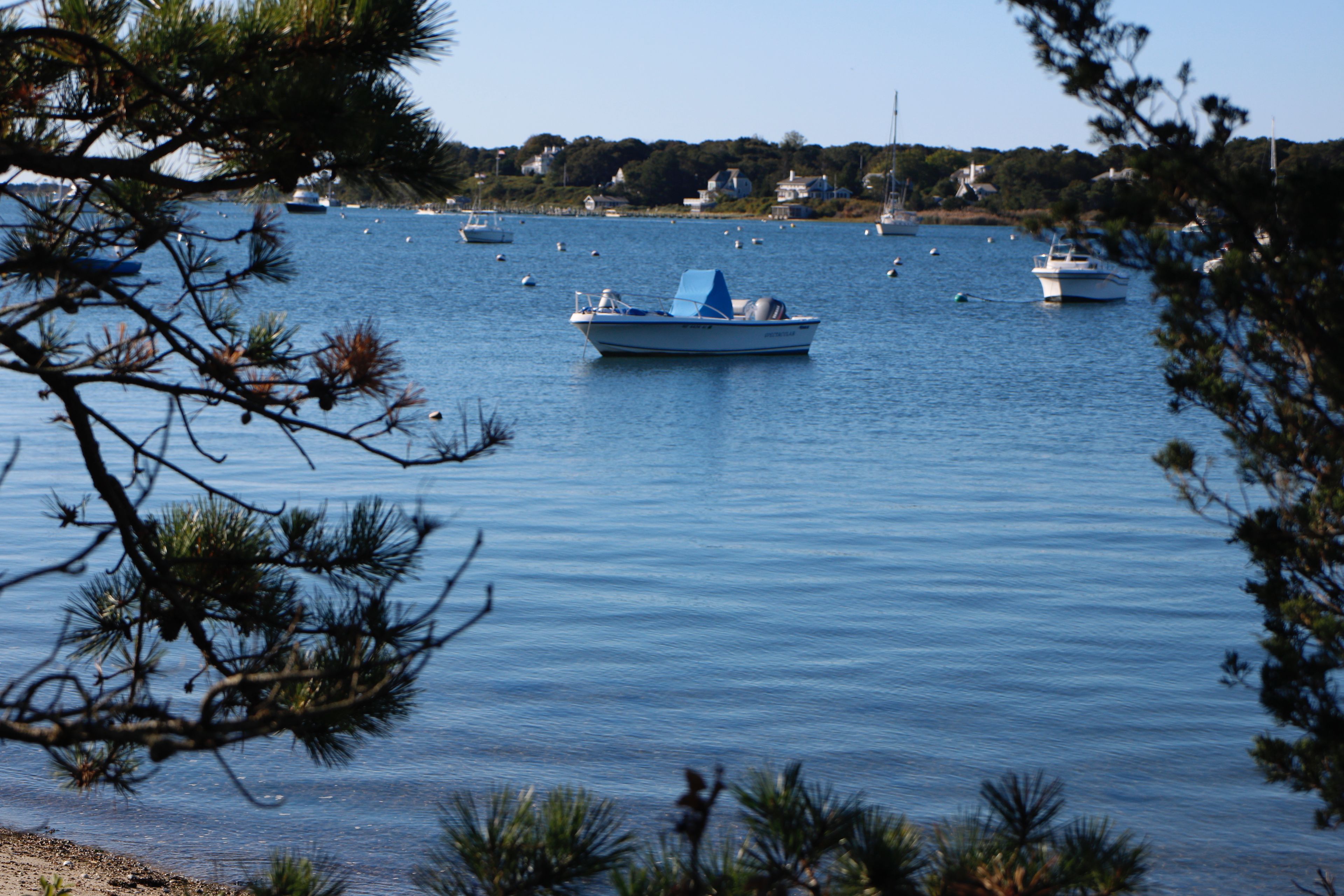 view of Katama Bay