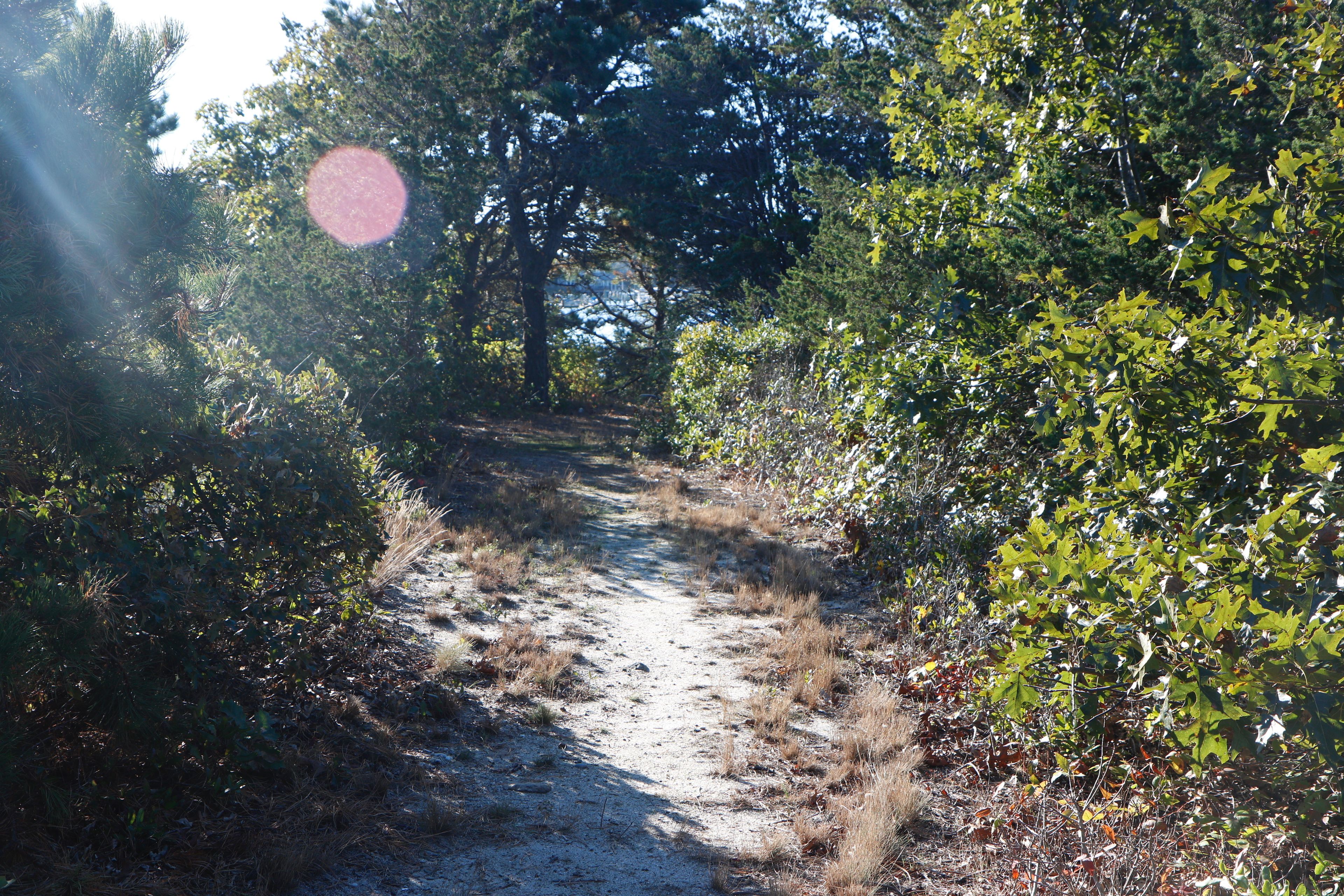 sandy trail