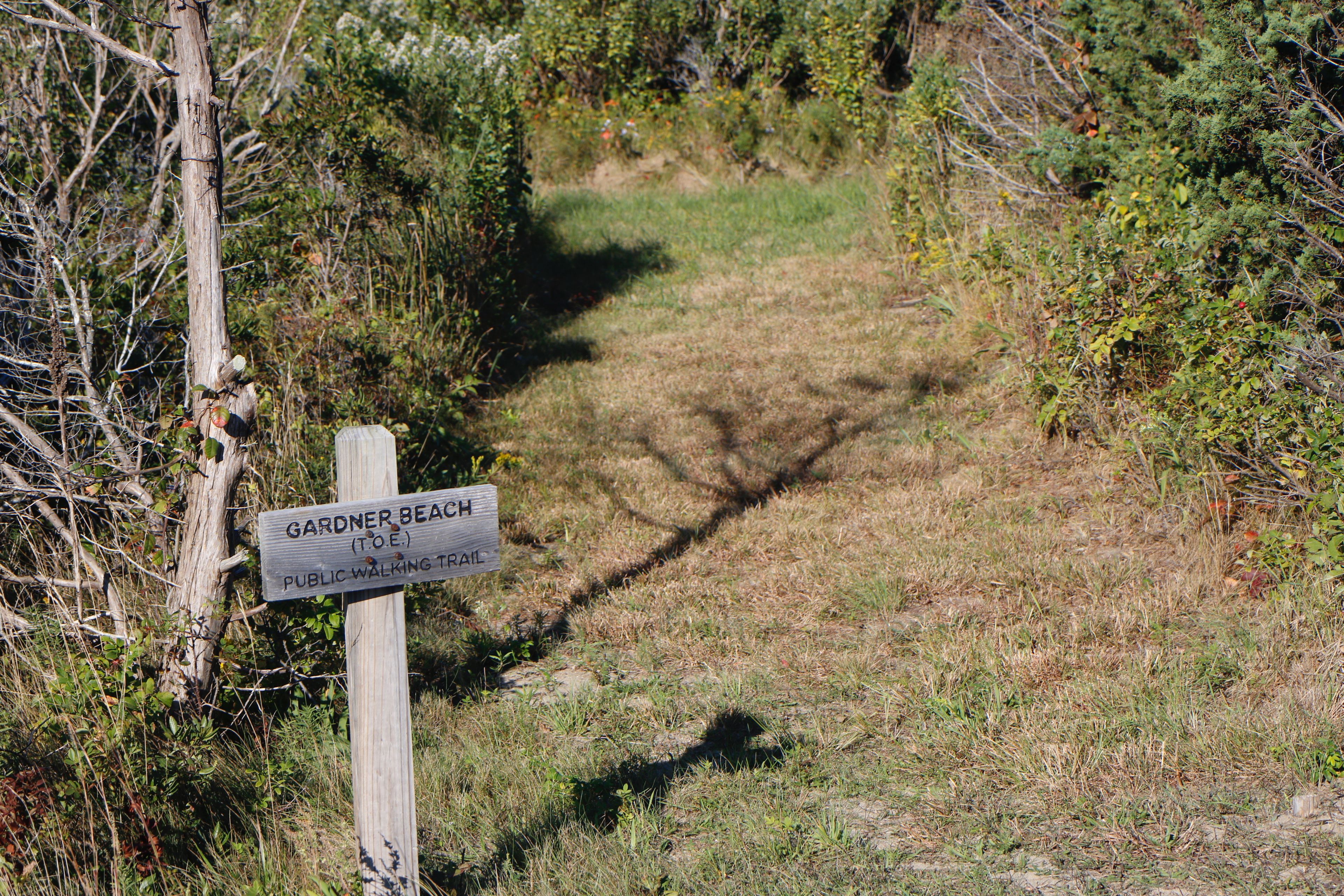 trail at Manaca Hill Road