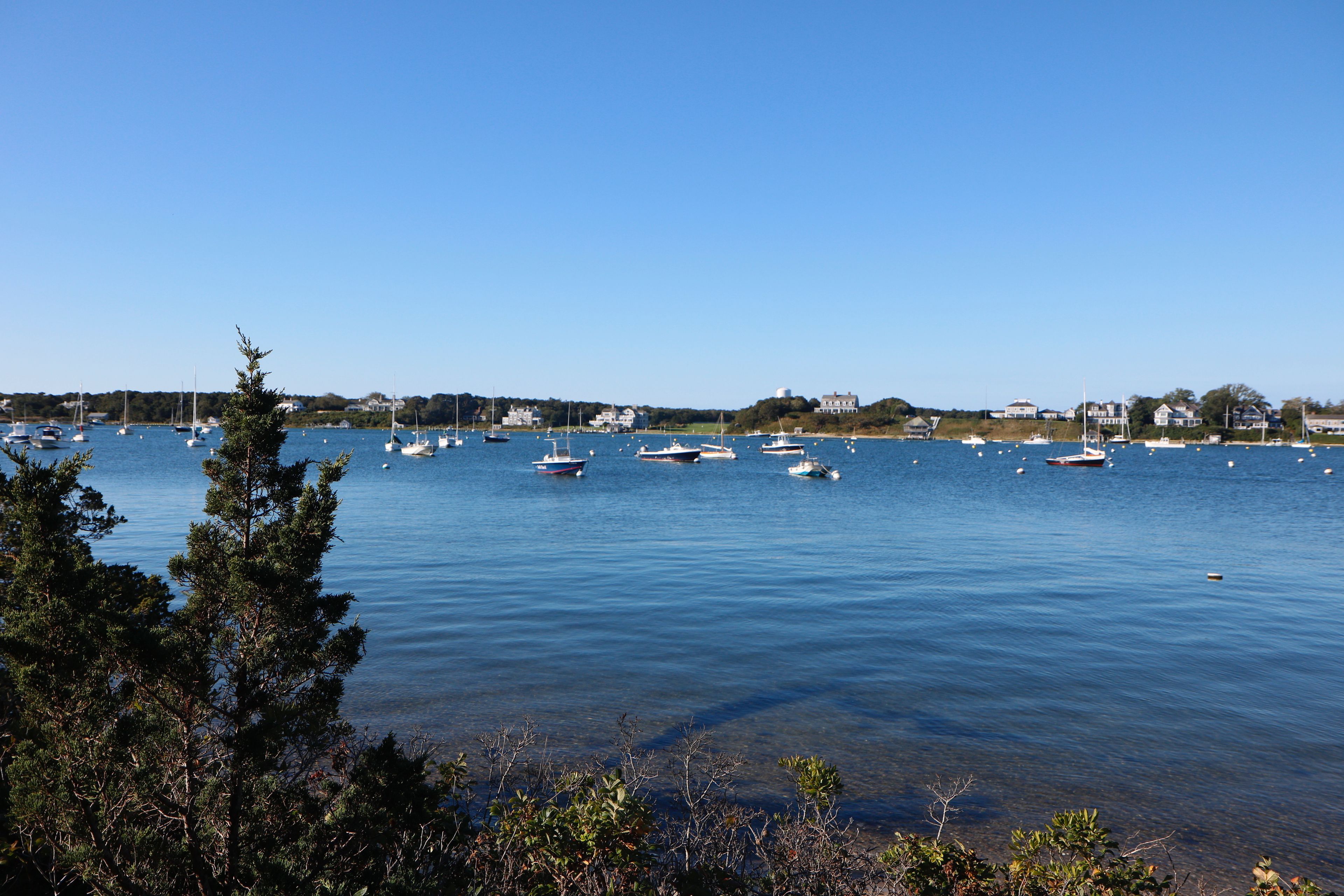 view of Katama Bay