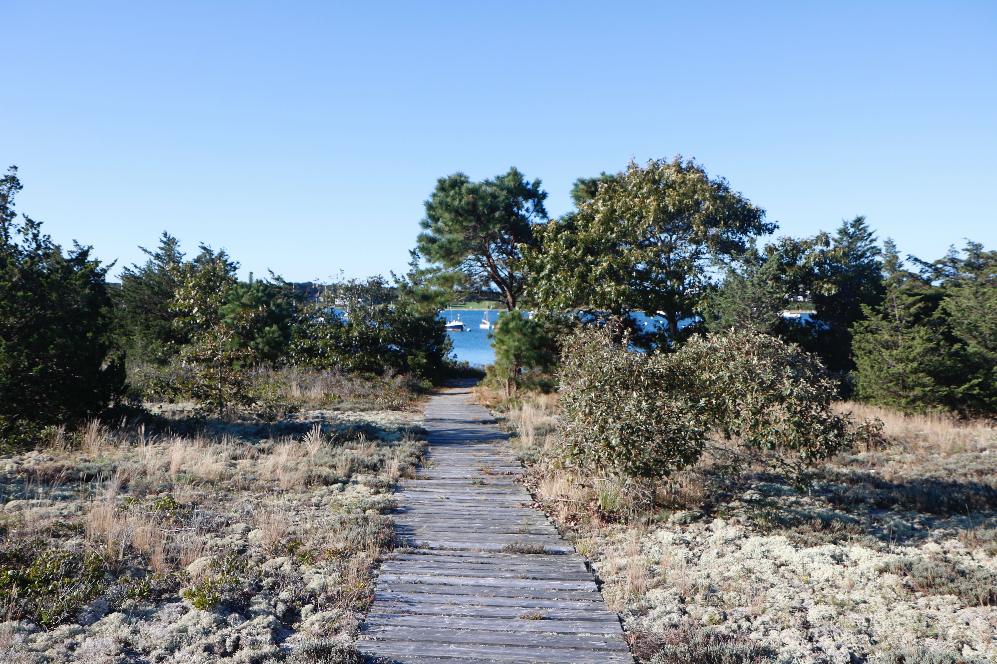 boardwalk leading to Bay