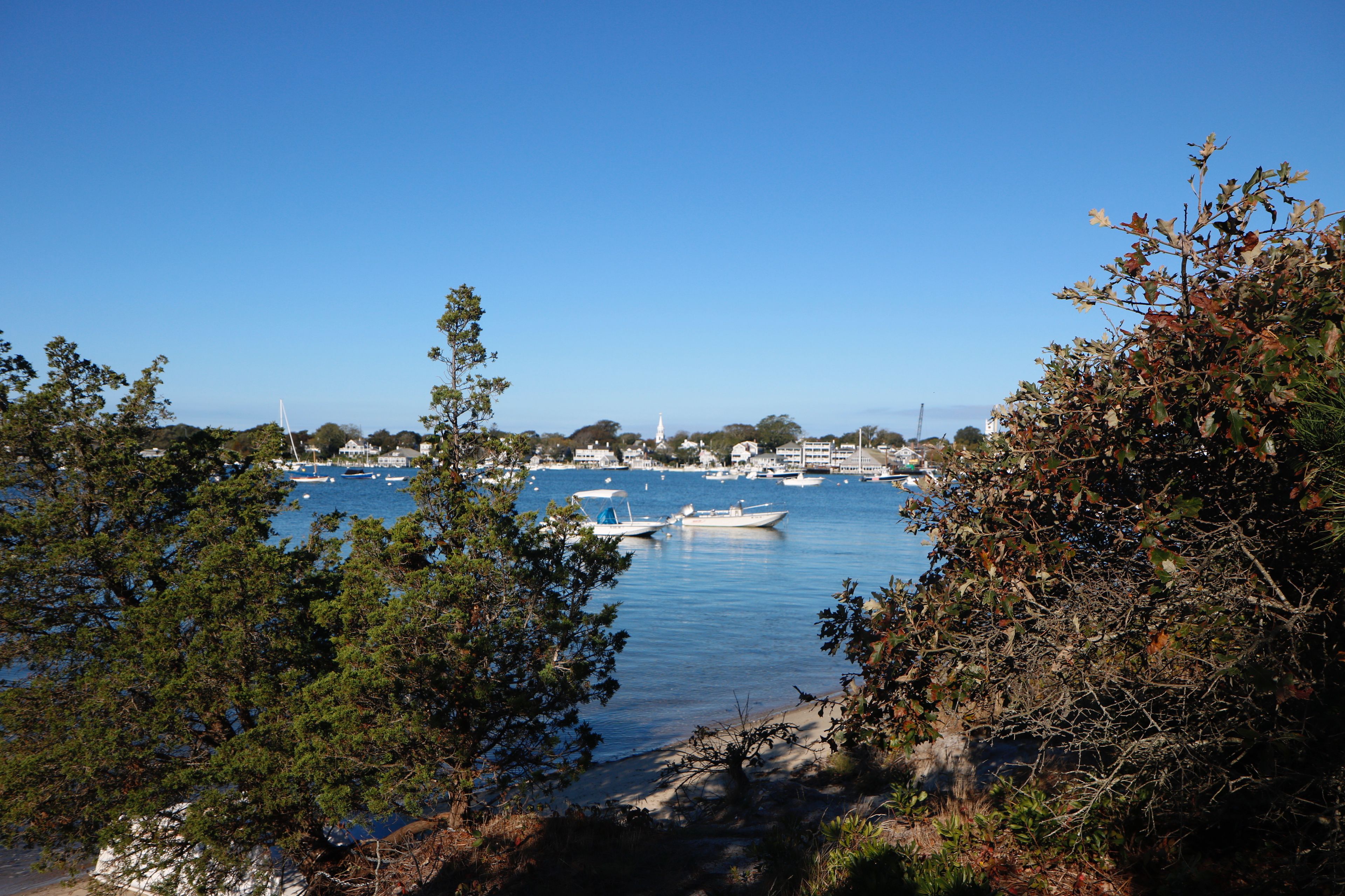 view of Bay and Harbor