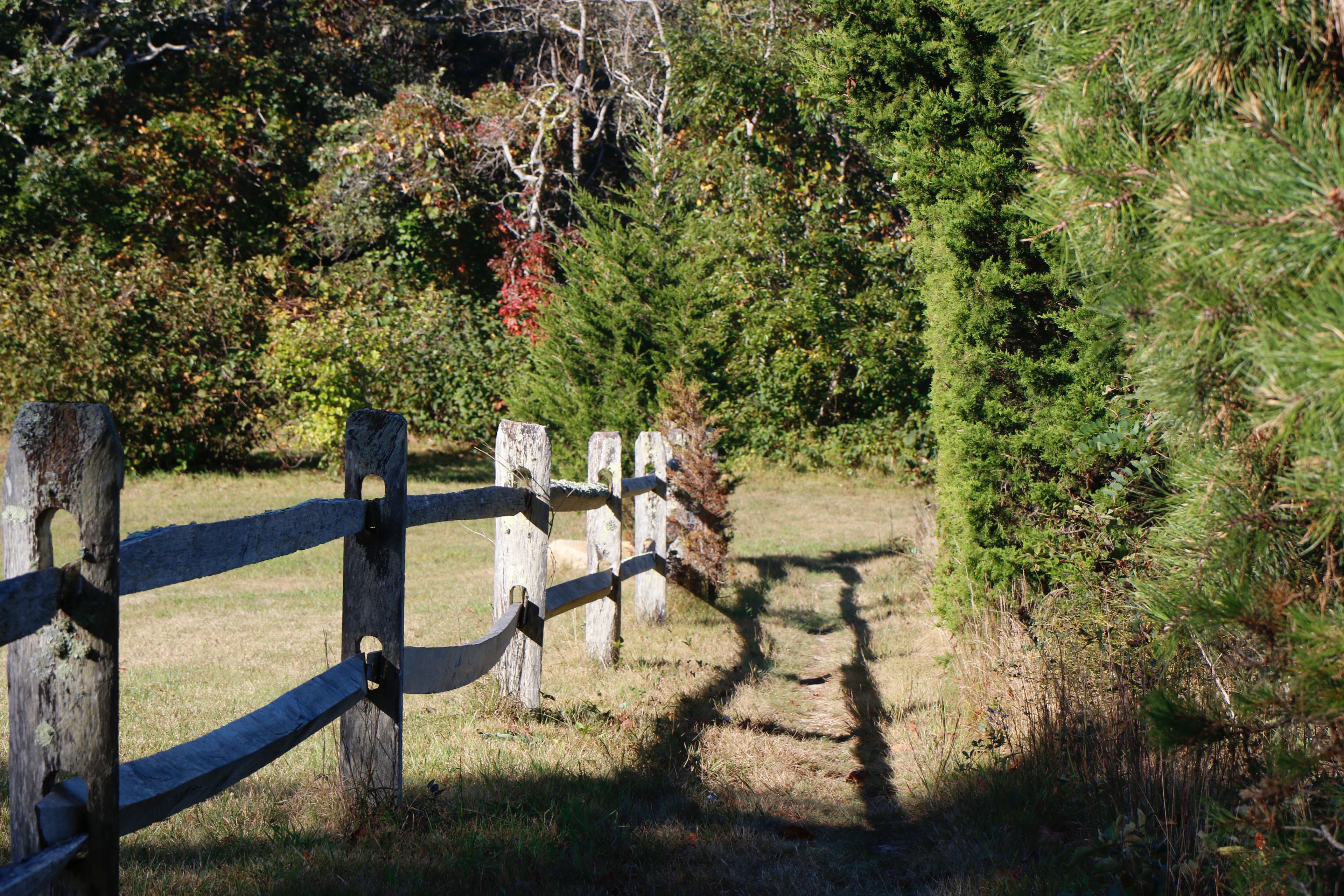 just before Trail to Landing Place