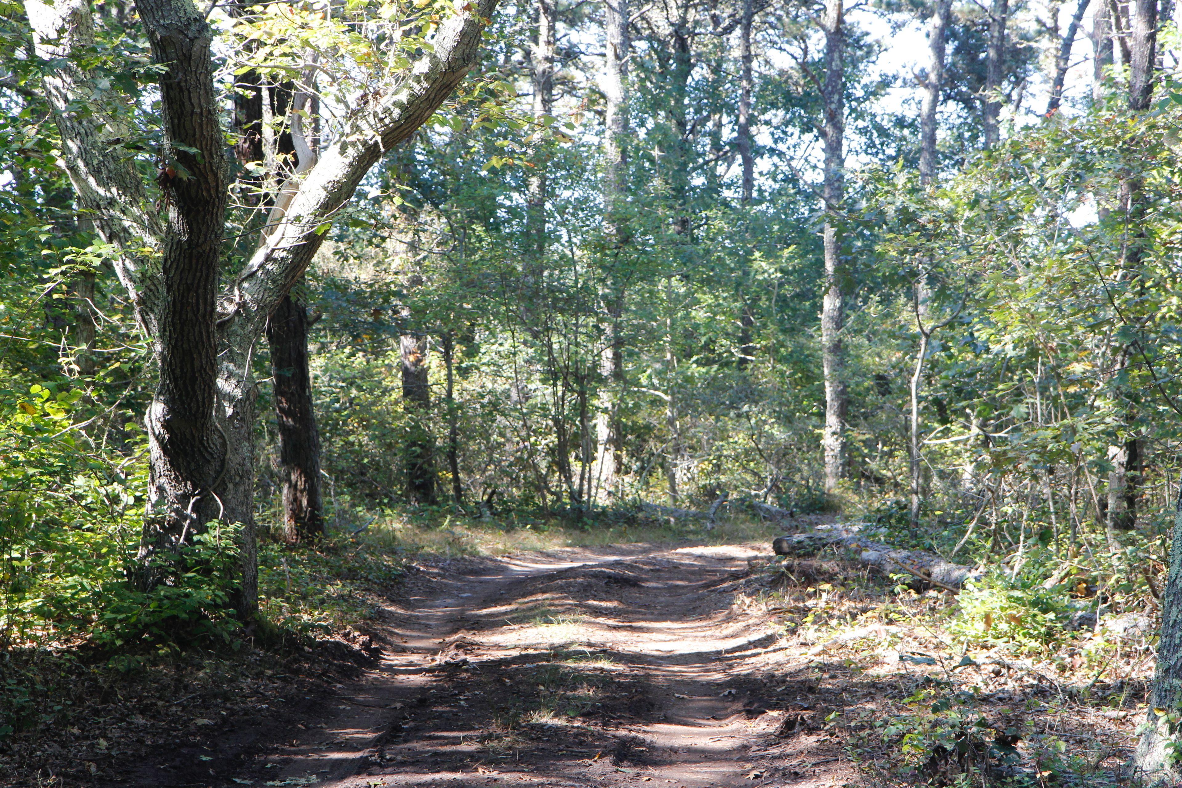 early fall view