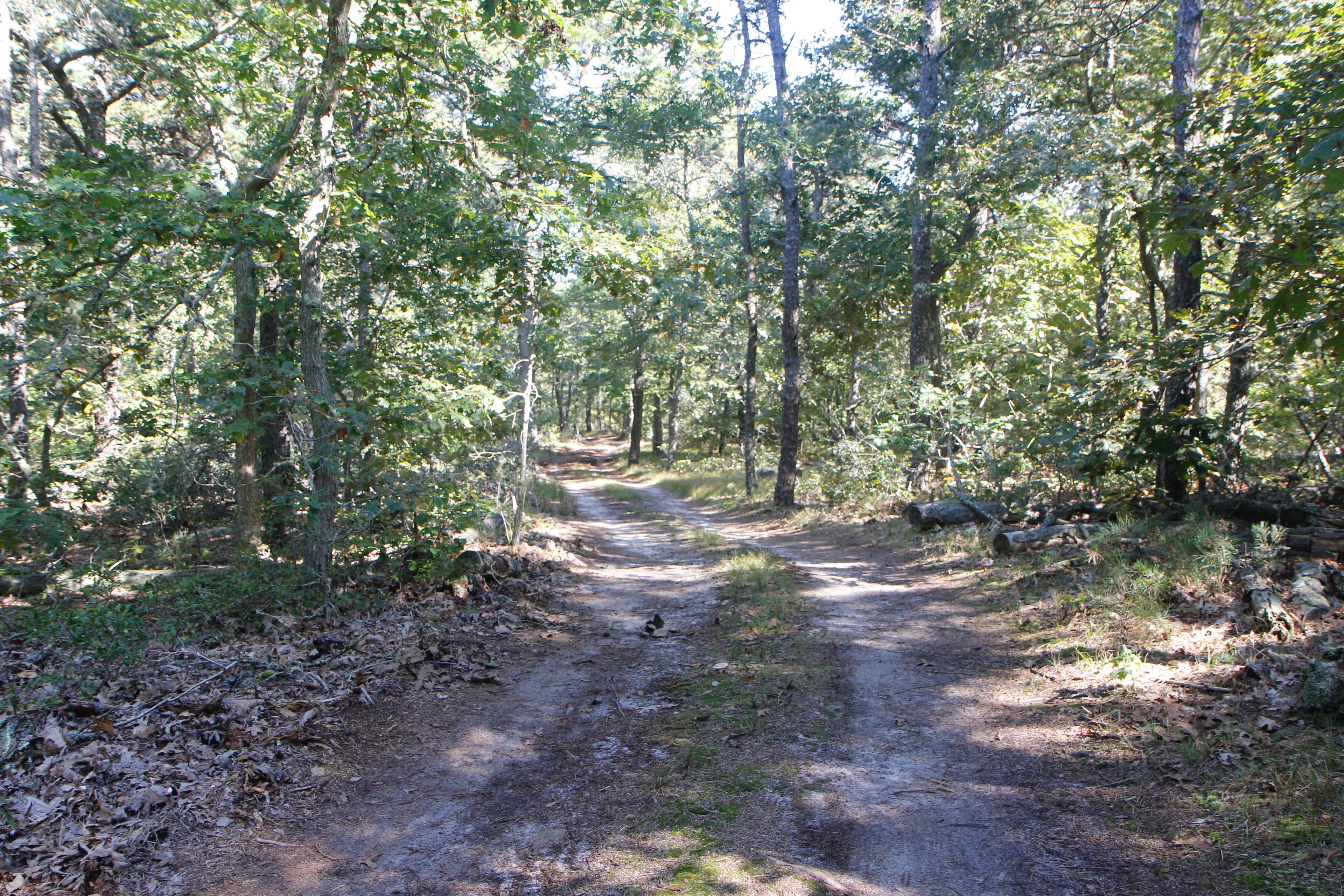 dirt road