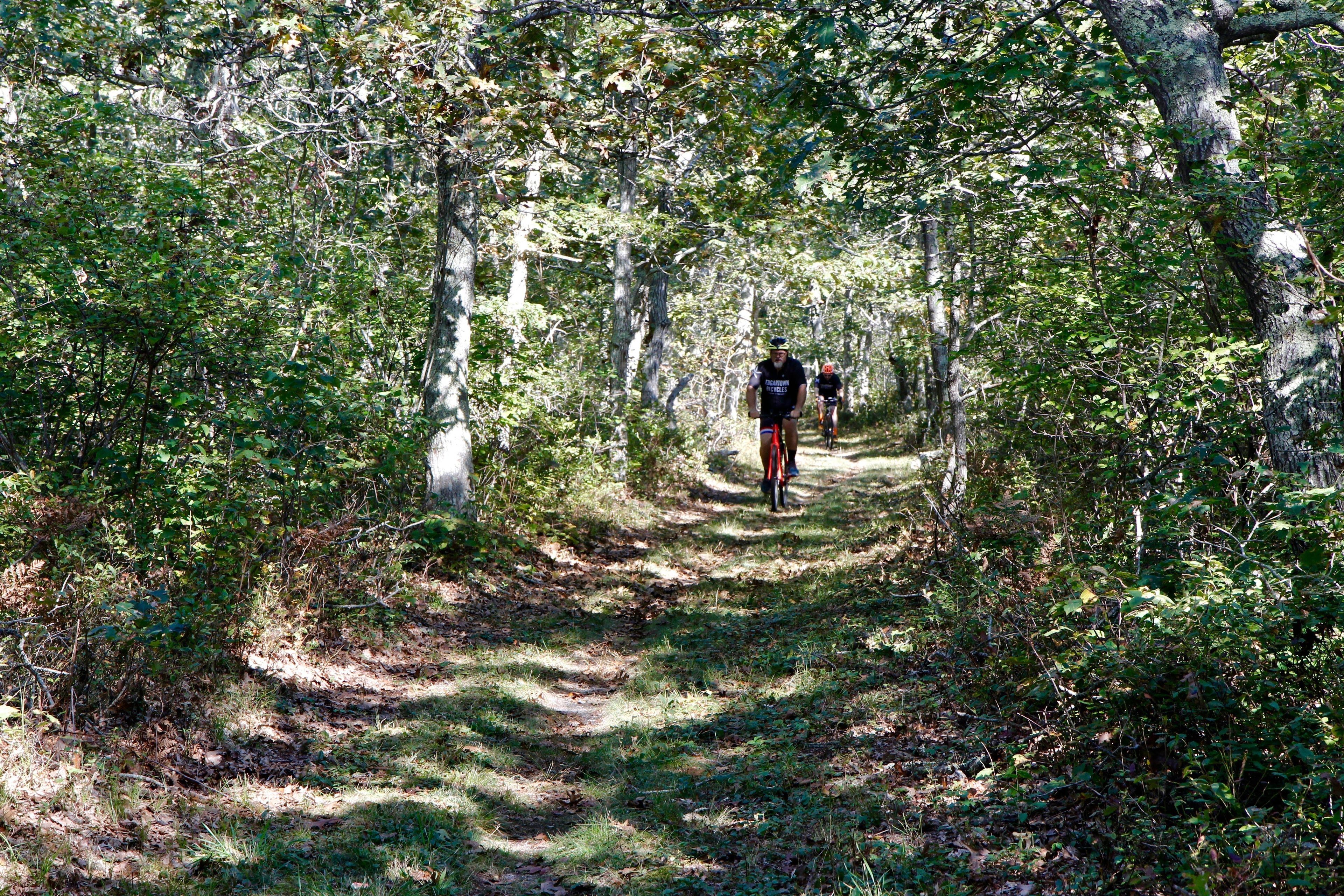 mountain bikers