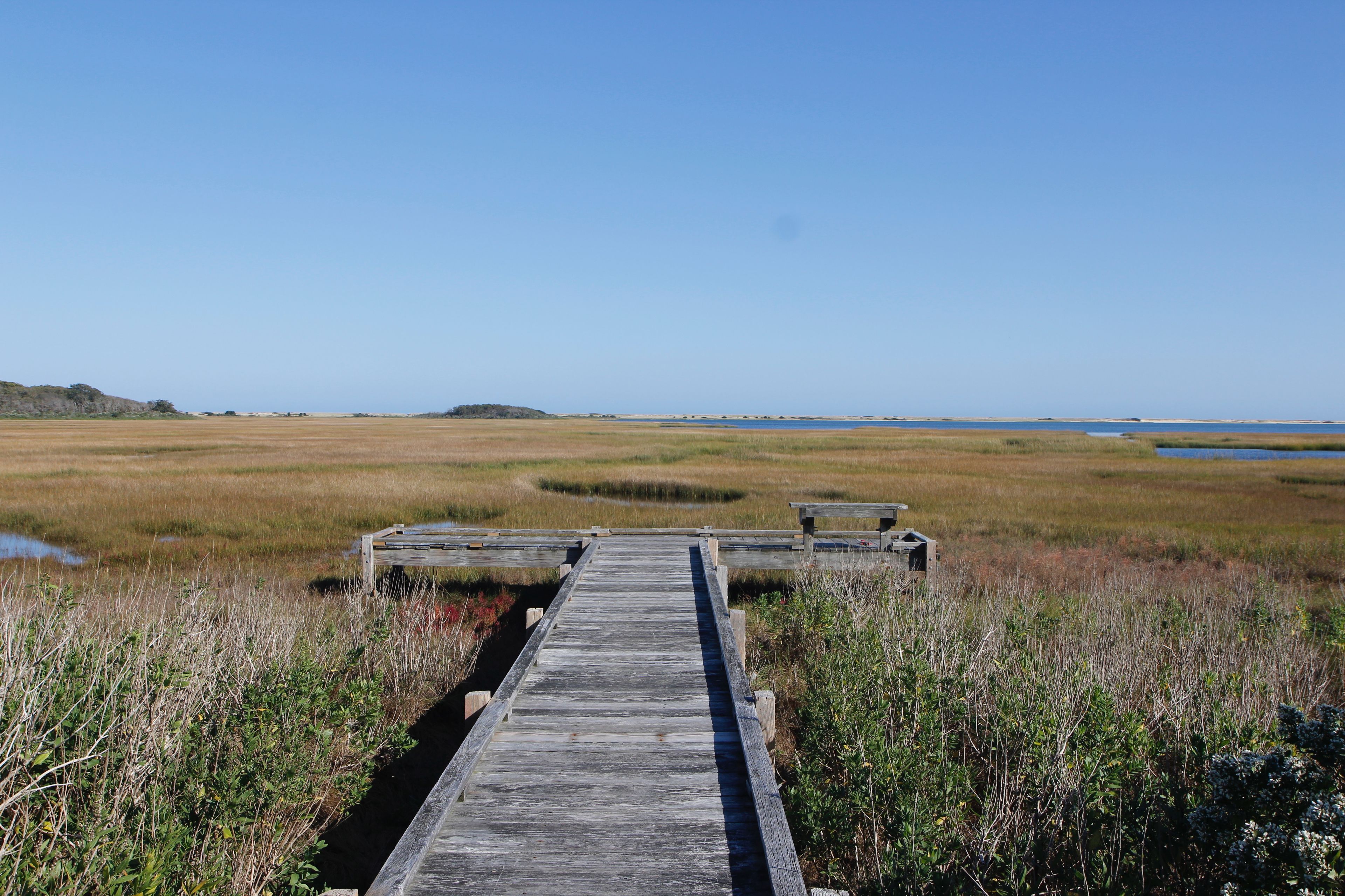 looking out over salt marsh, early fall