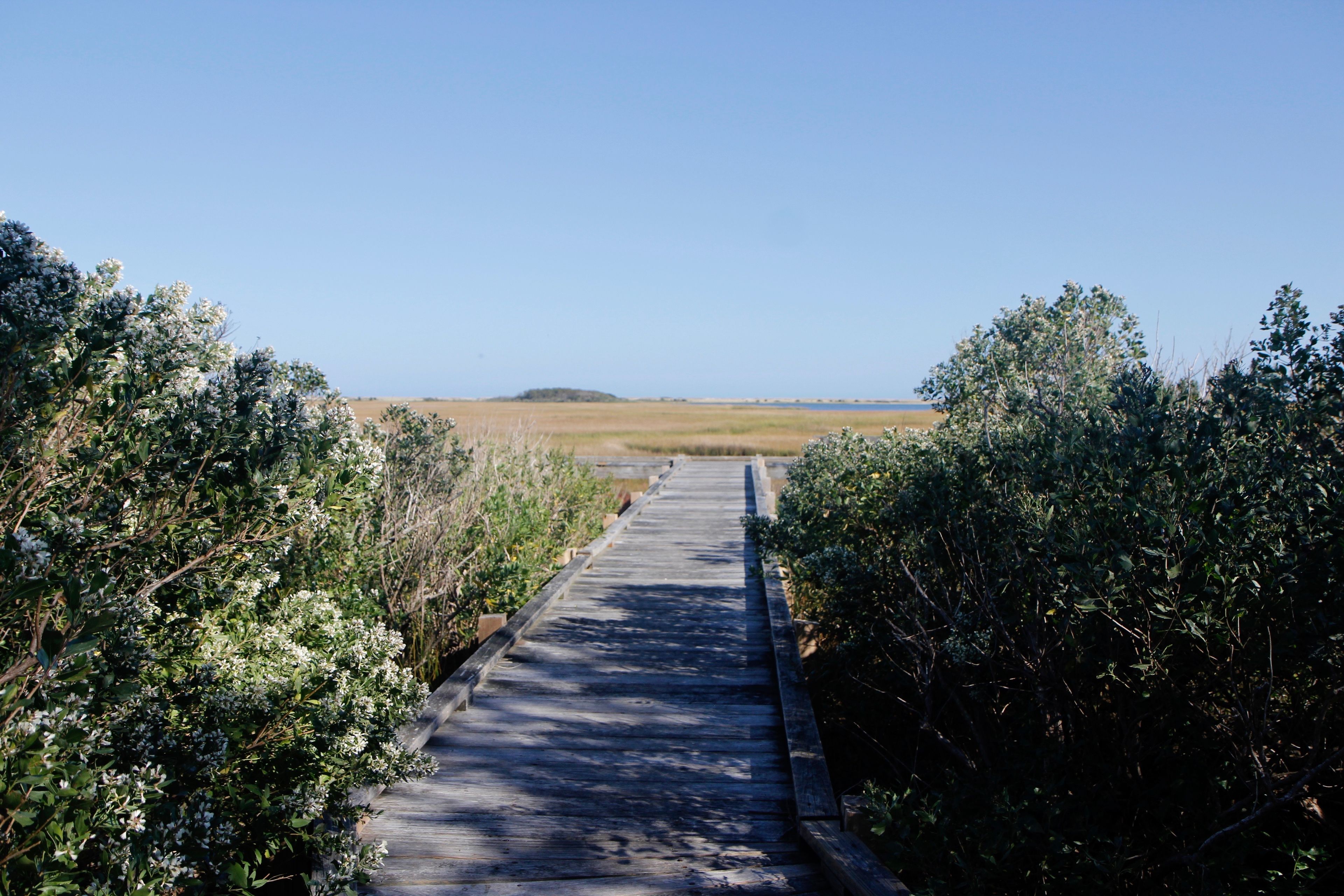 boardwalk