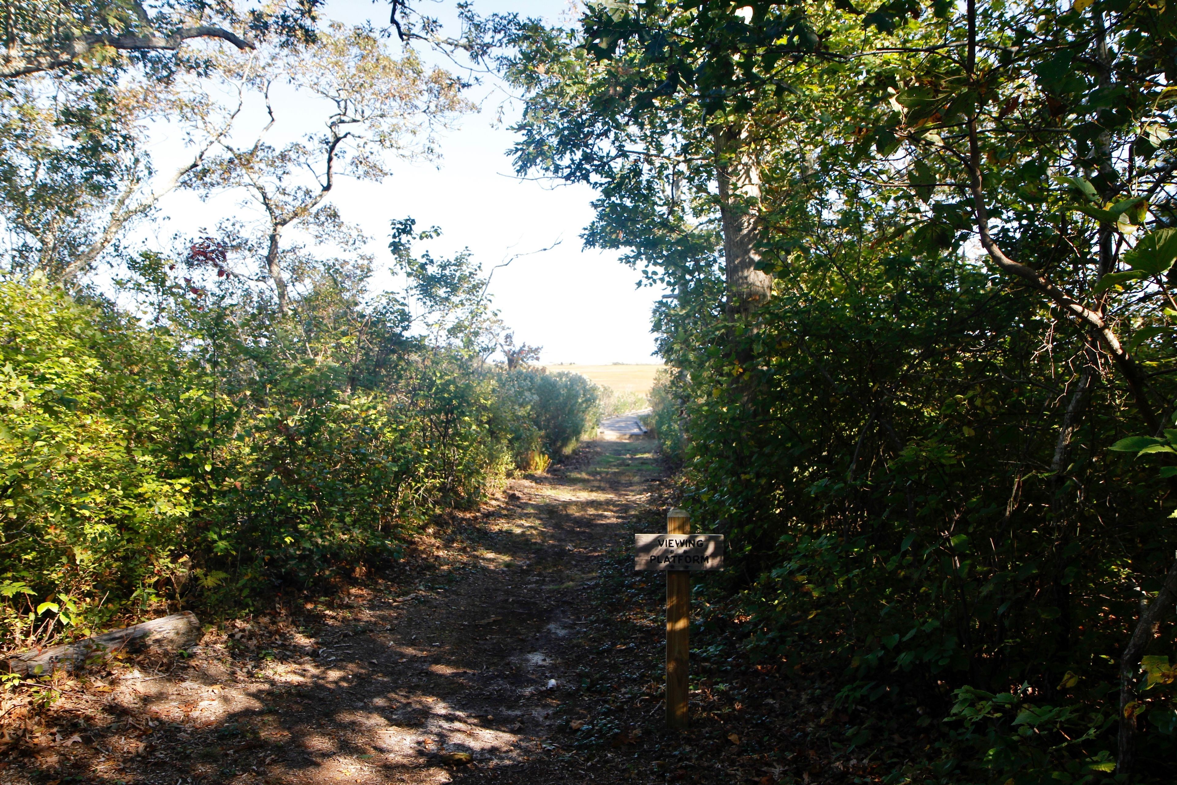 at intersection with Trail No 5