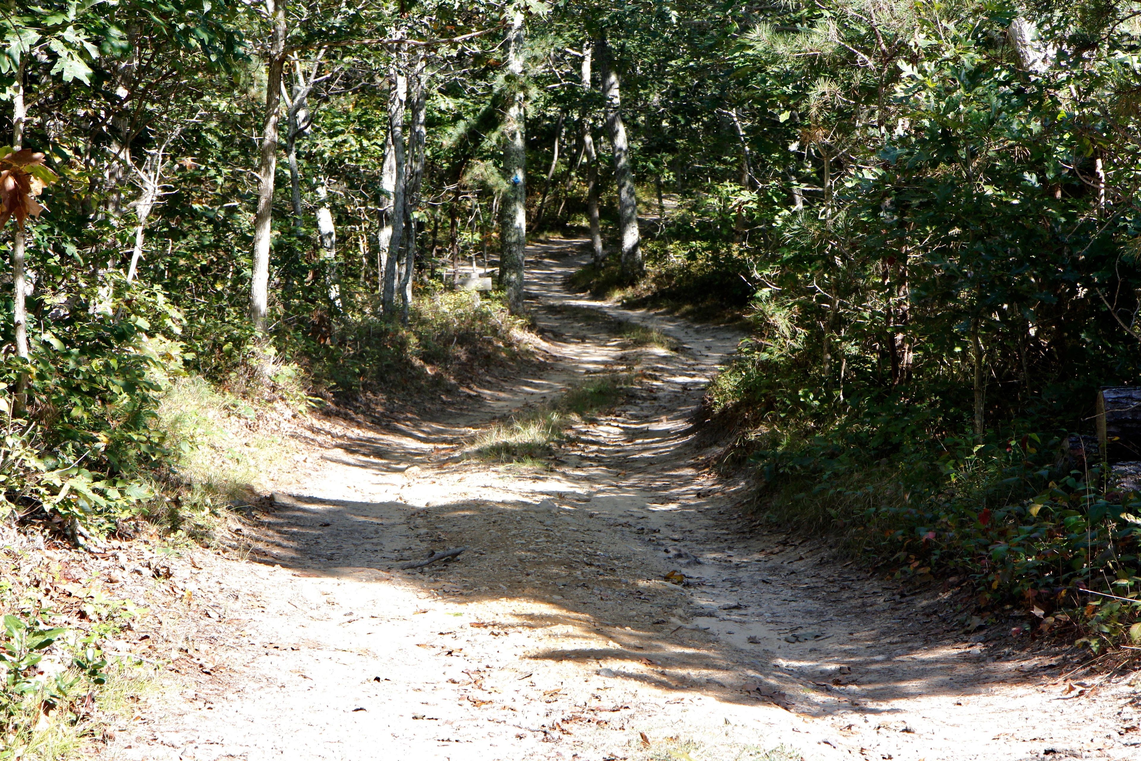 dirt road into property