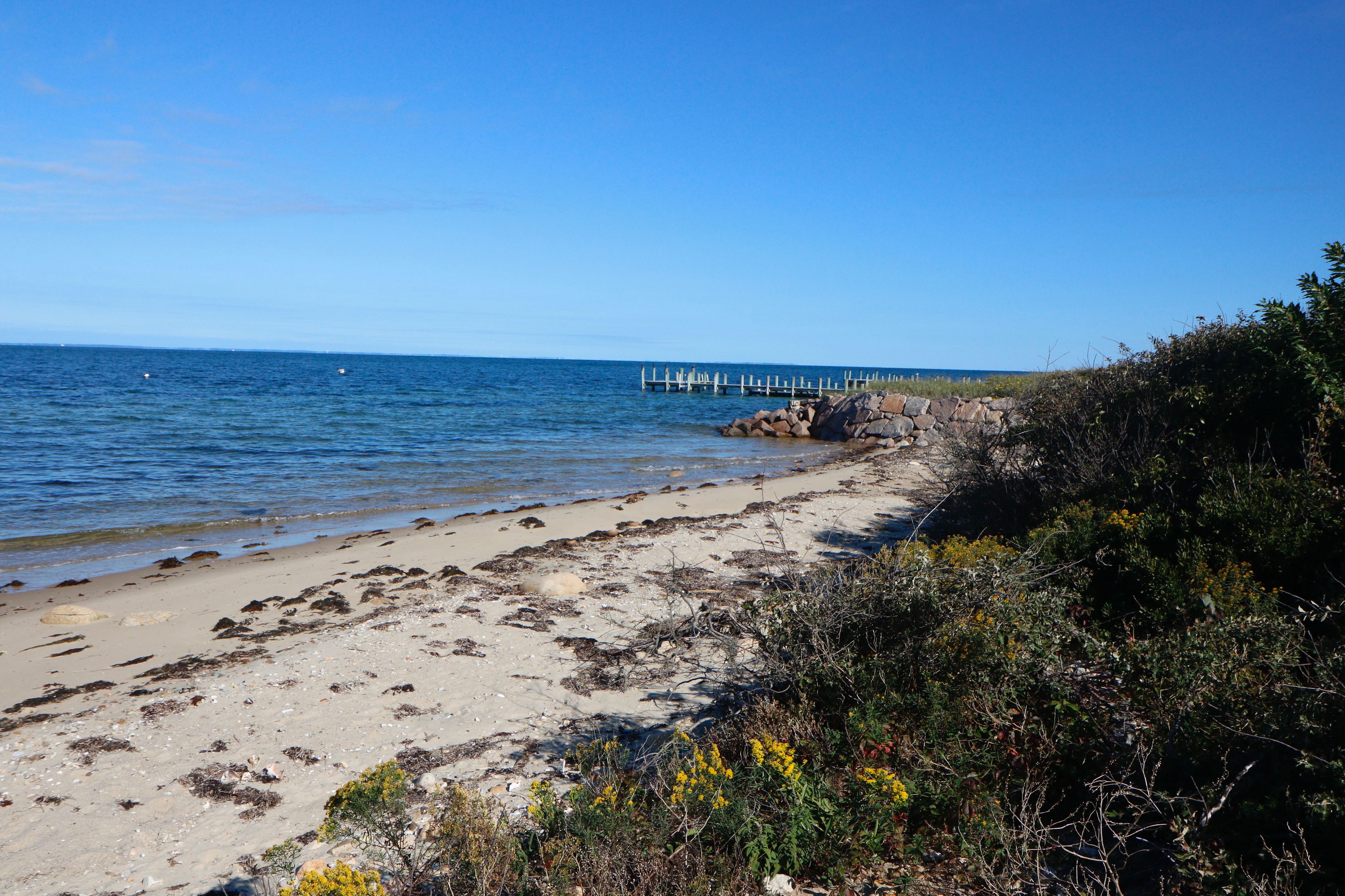 view along beach