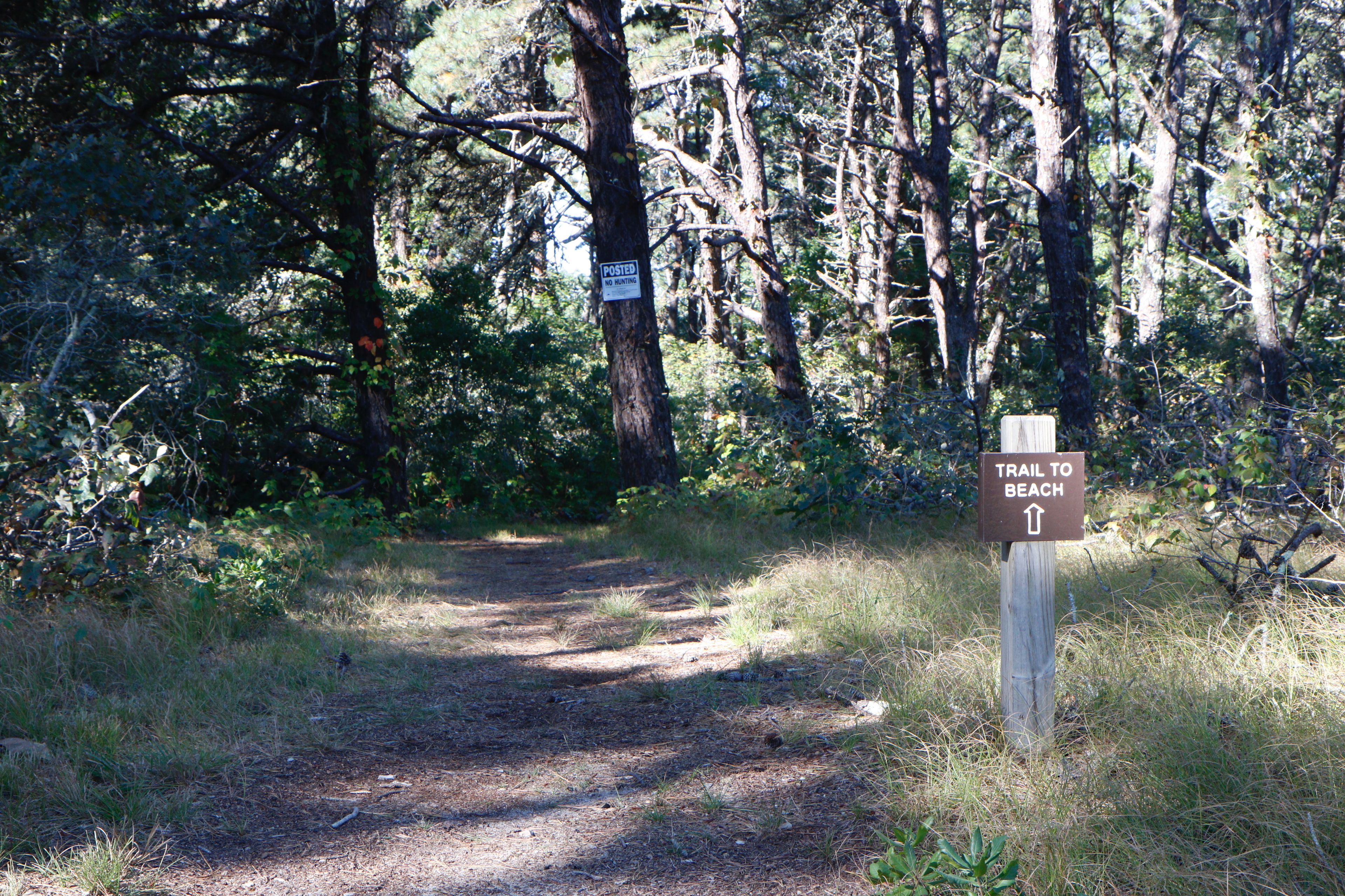 sign at North Neck Road