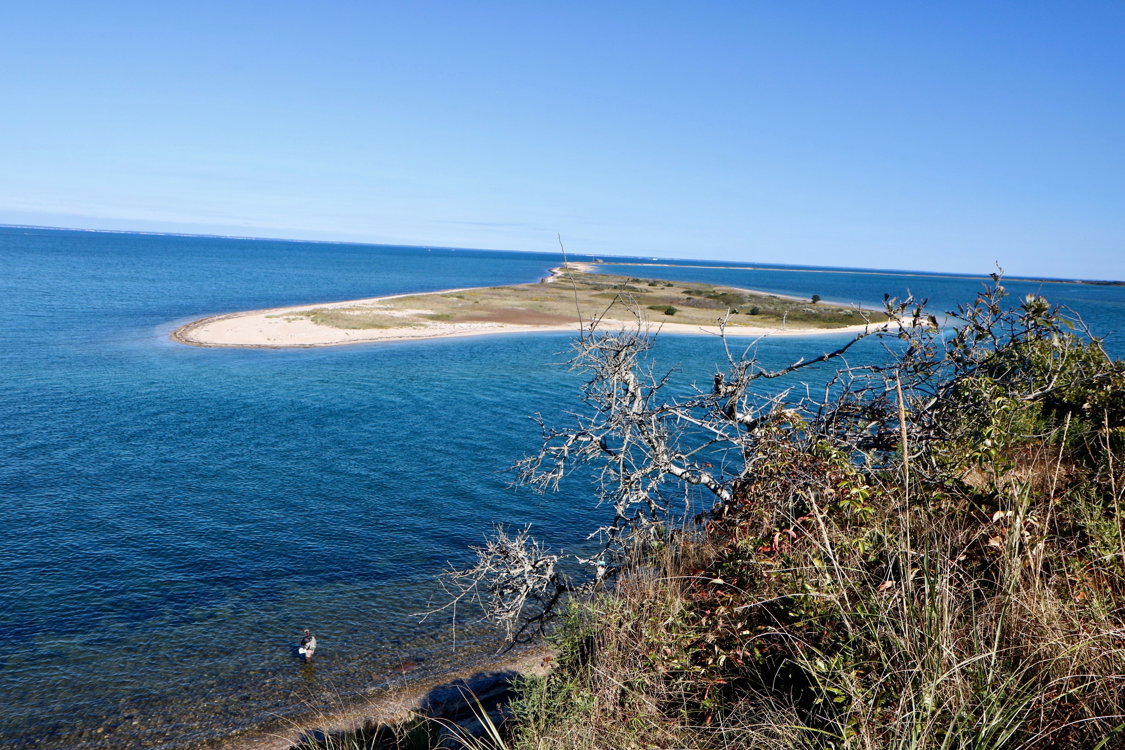 view of Cape Poge from cliff's edge