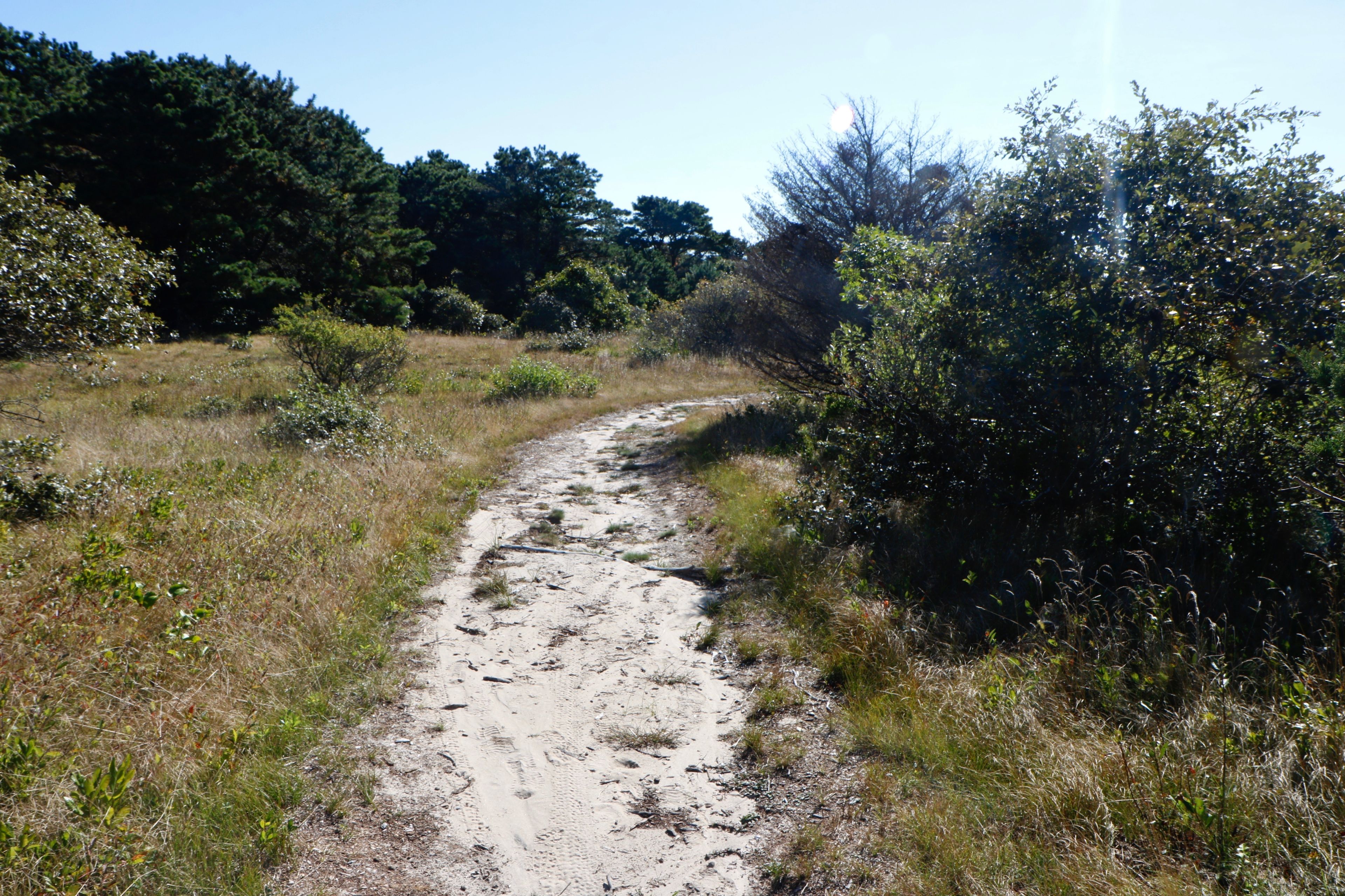 sandy trail