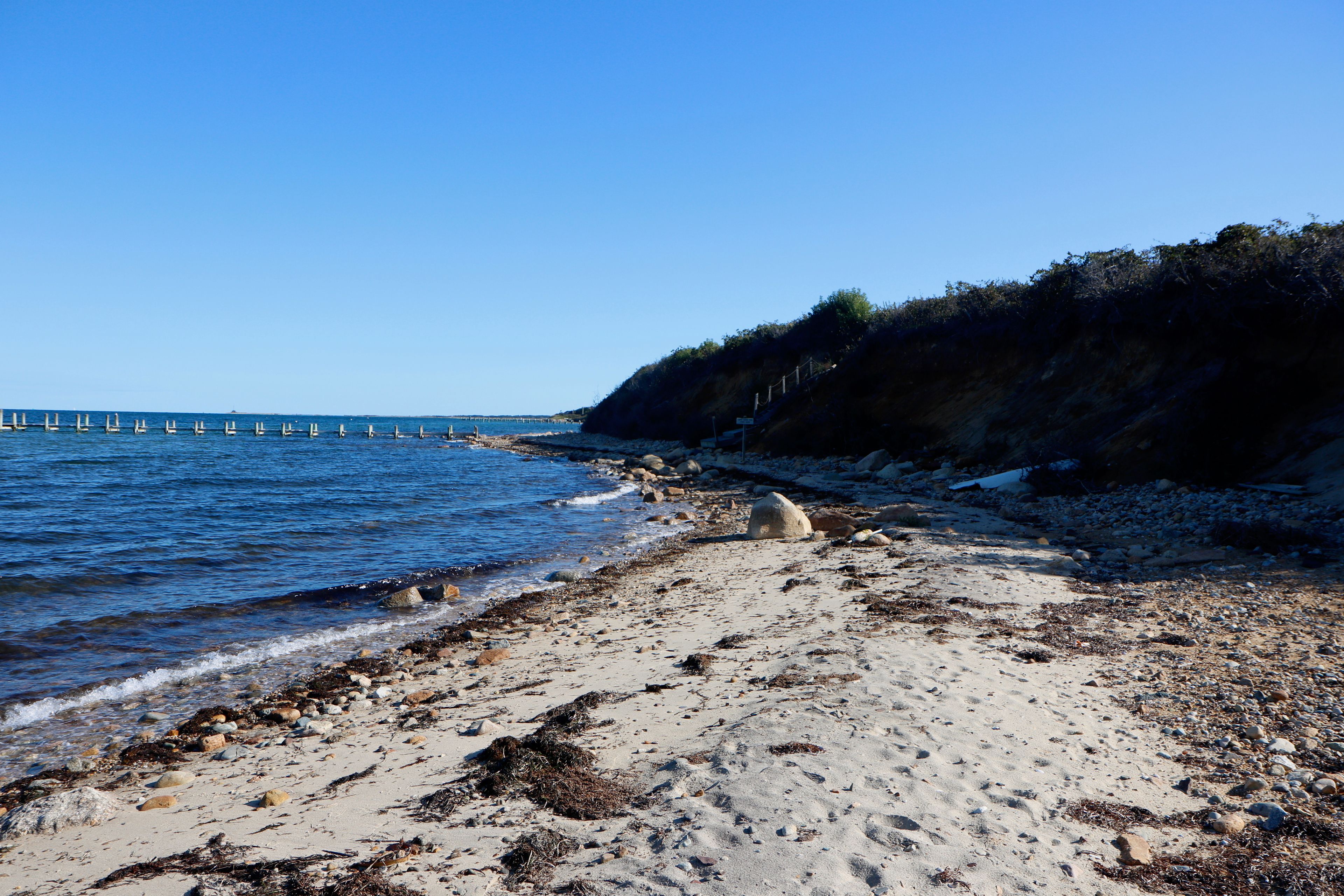 Fall shore view