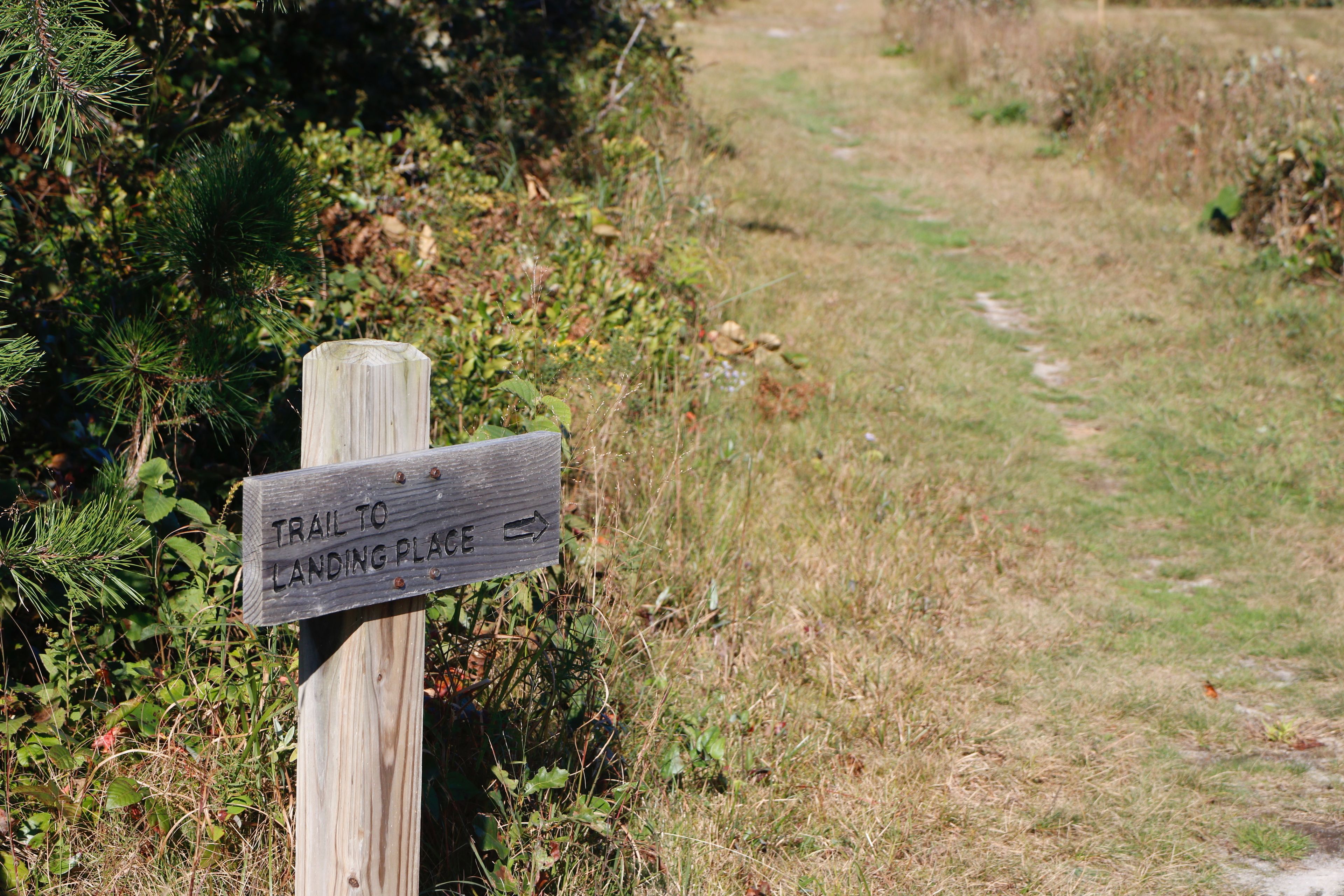 sign at Trail to Landing Place