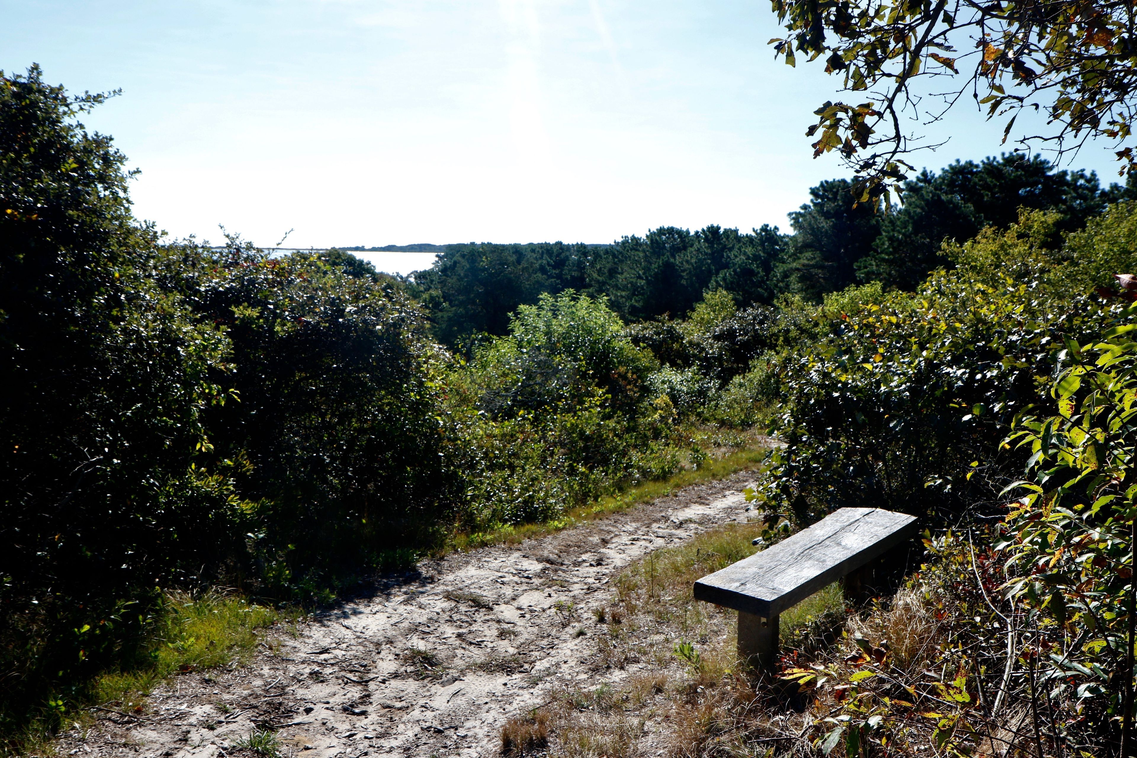 bench overlooking view of Bay