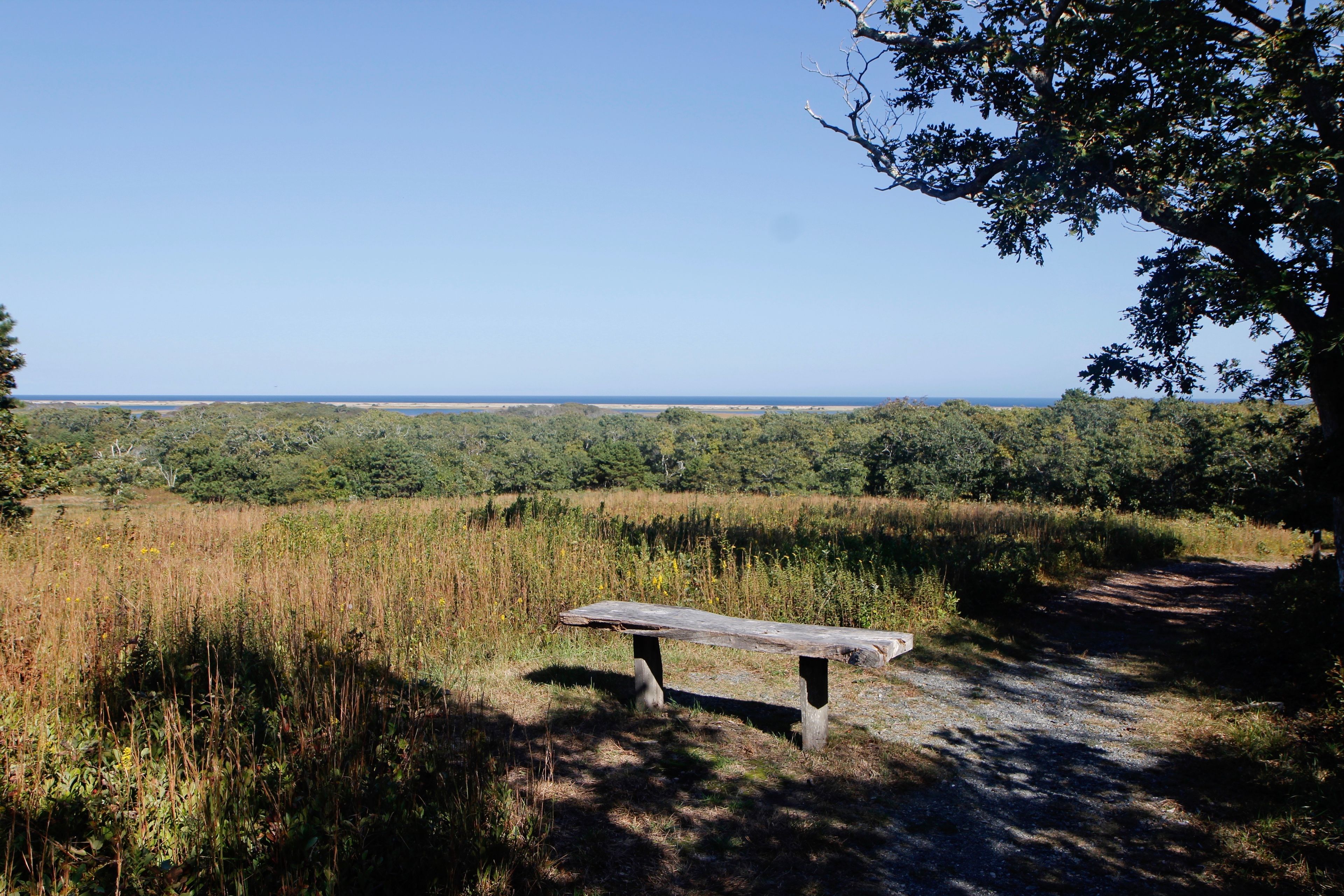 bench at top of hill