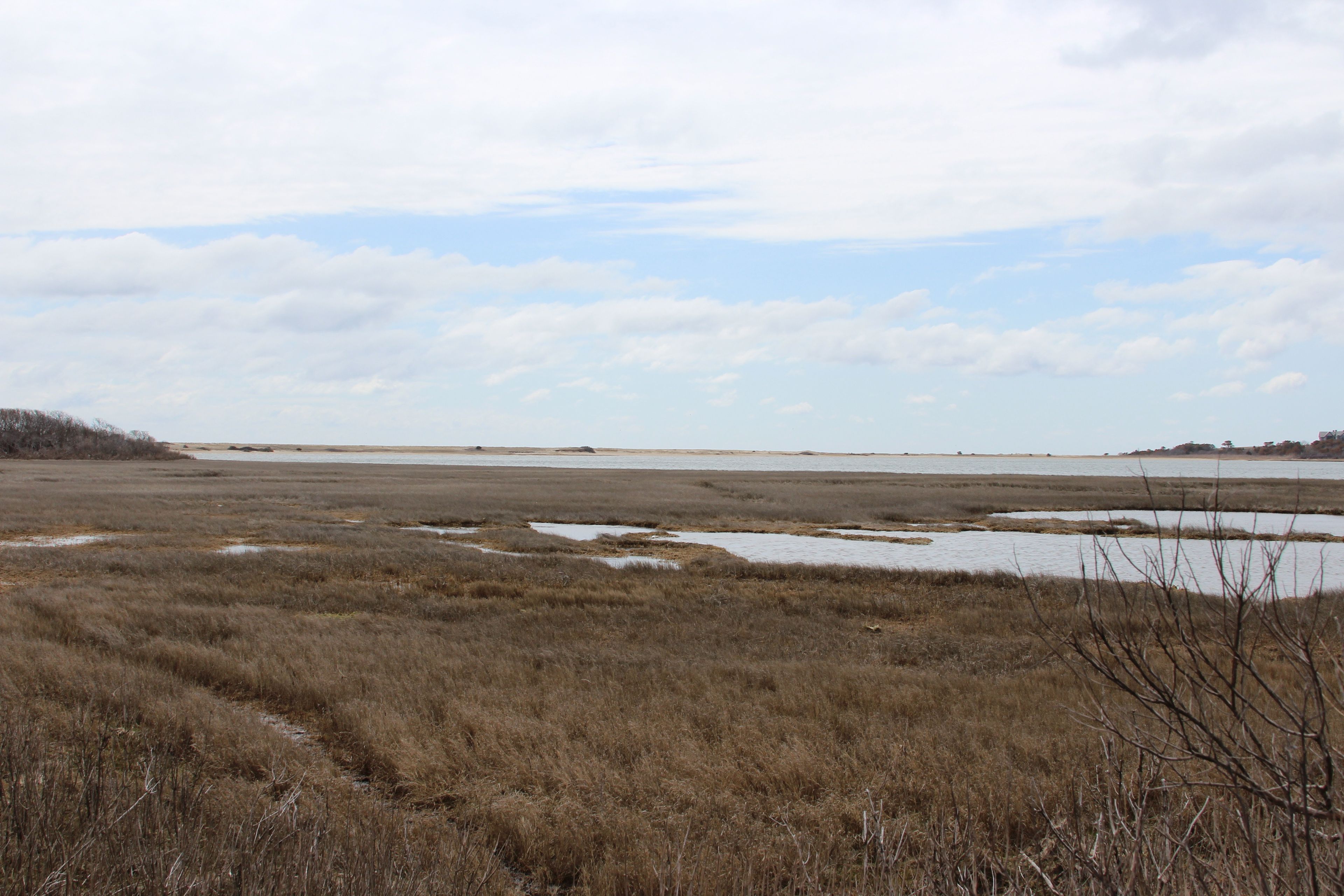 view at end of loop