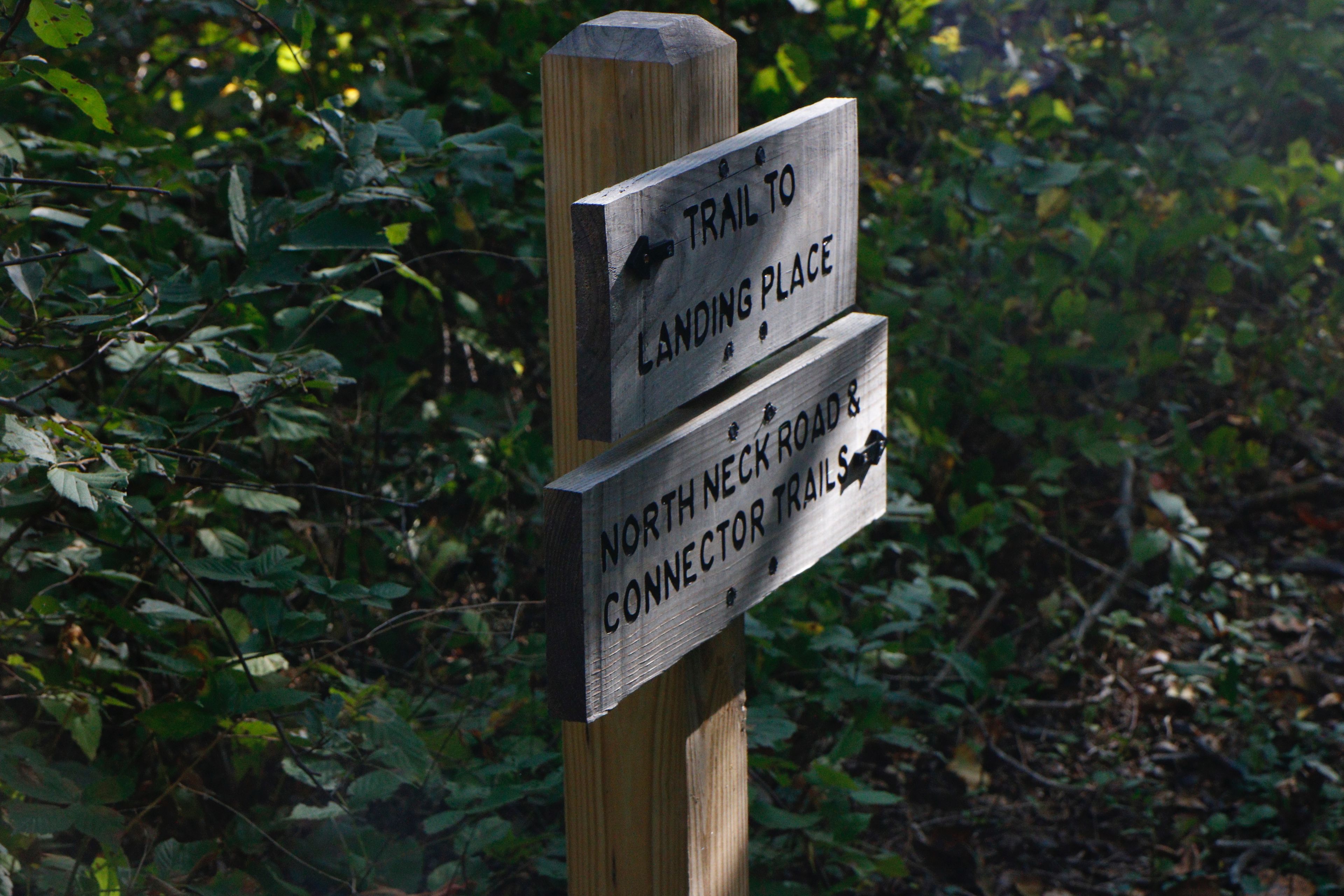 sign at intersection with Tilghman trails