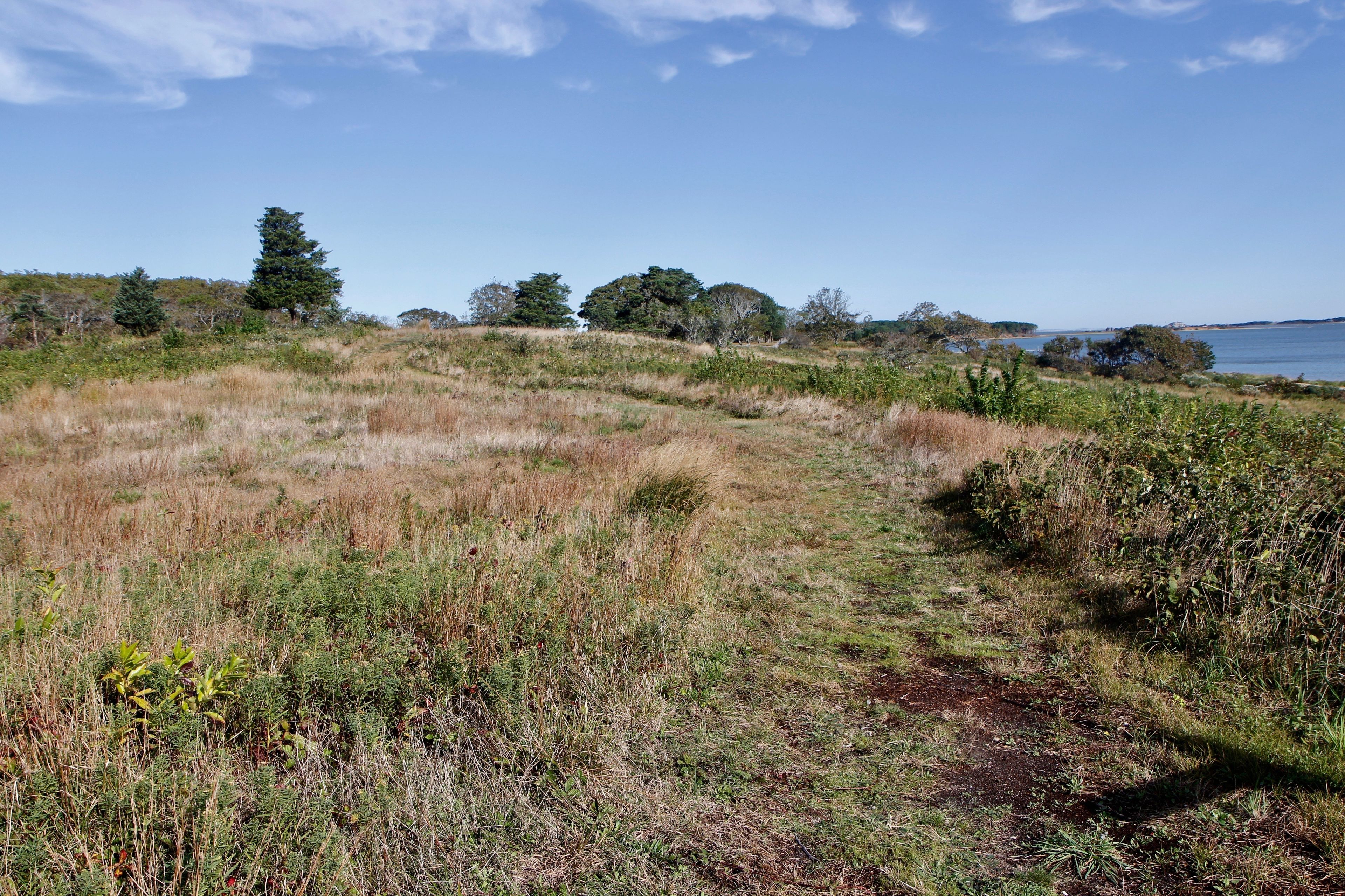 grassy trail down to beach