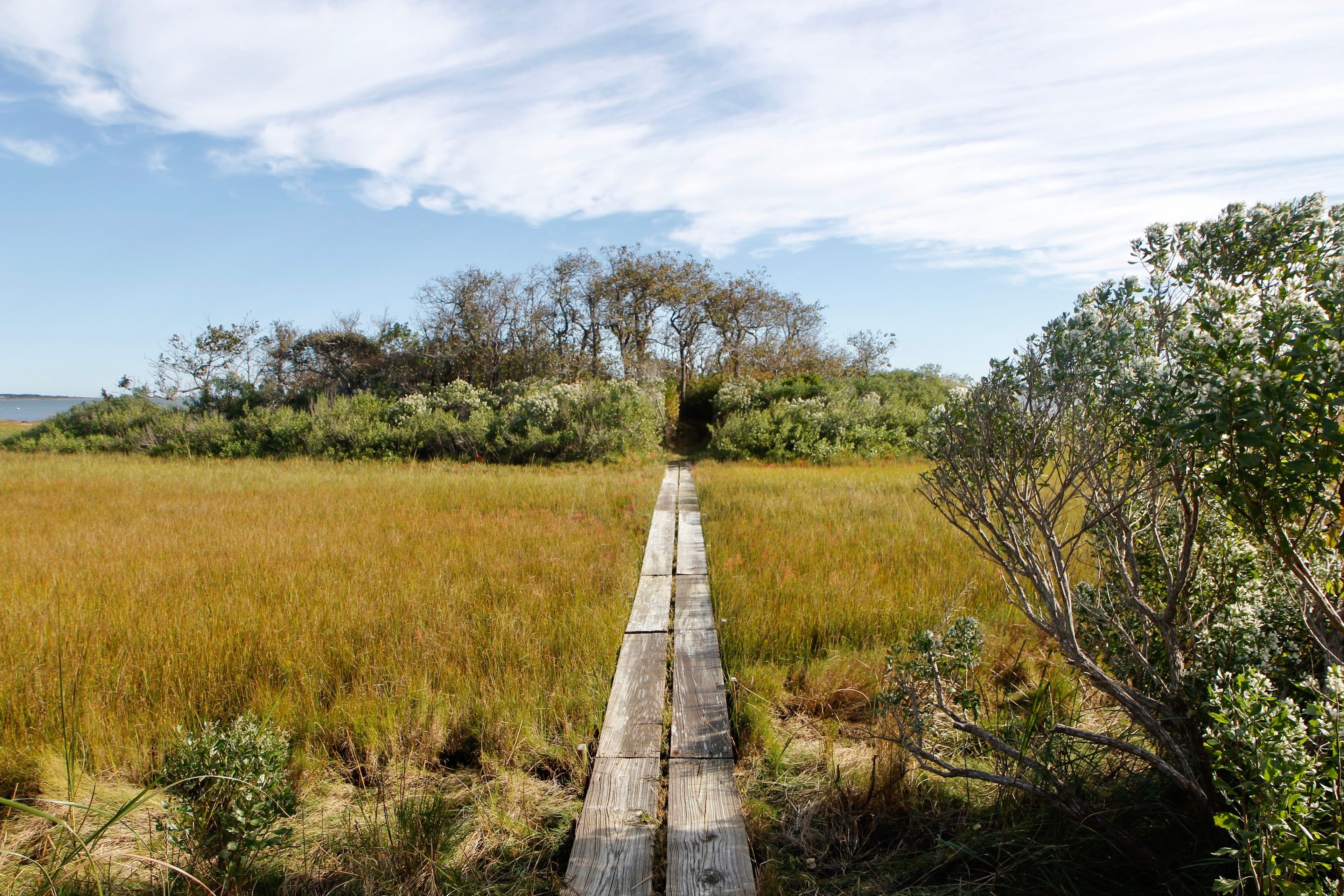 boardwalk to beach