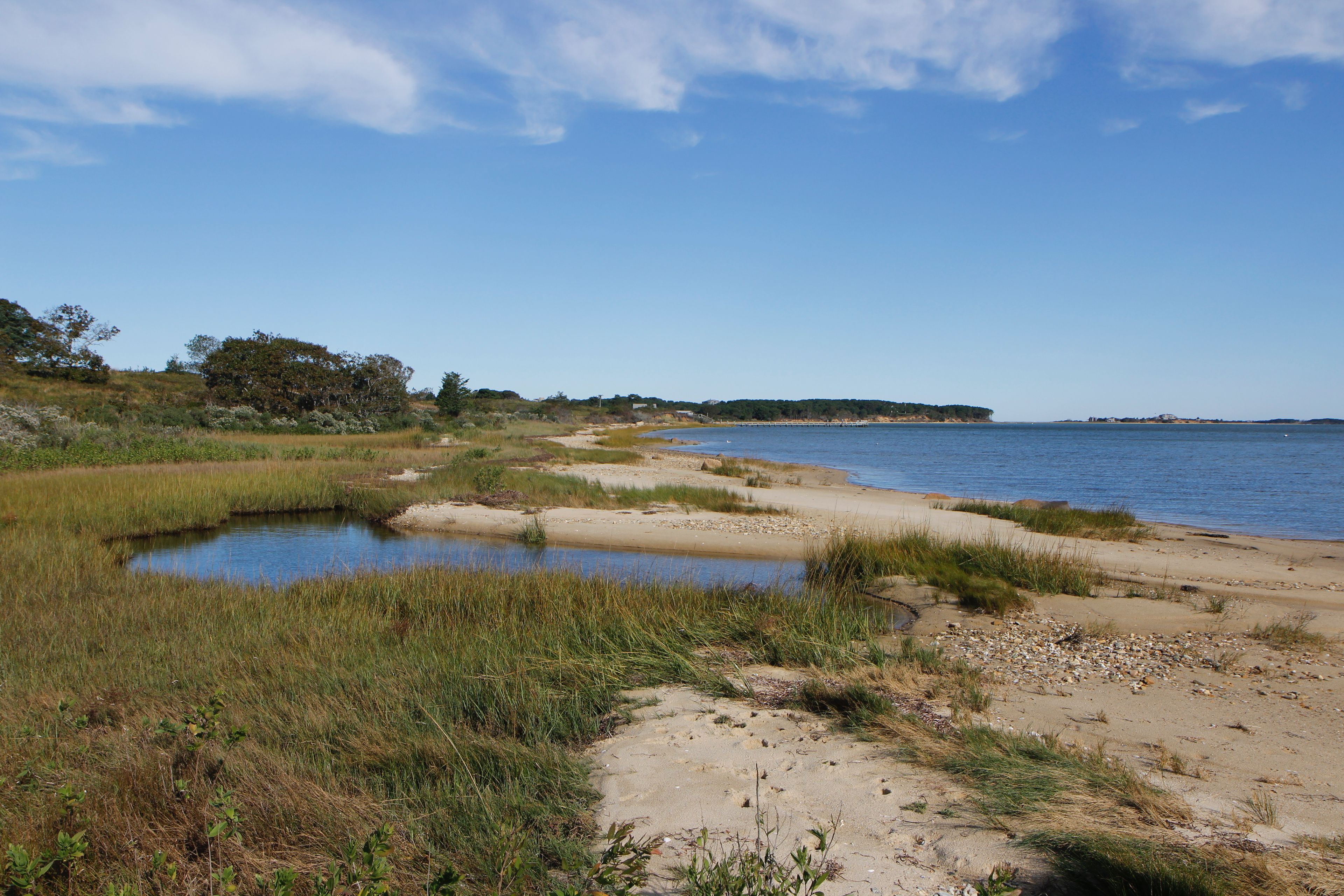 view of shore