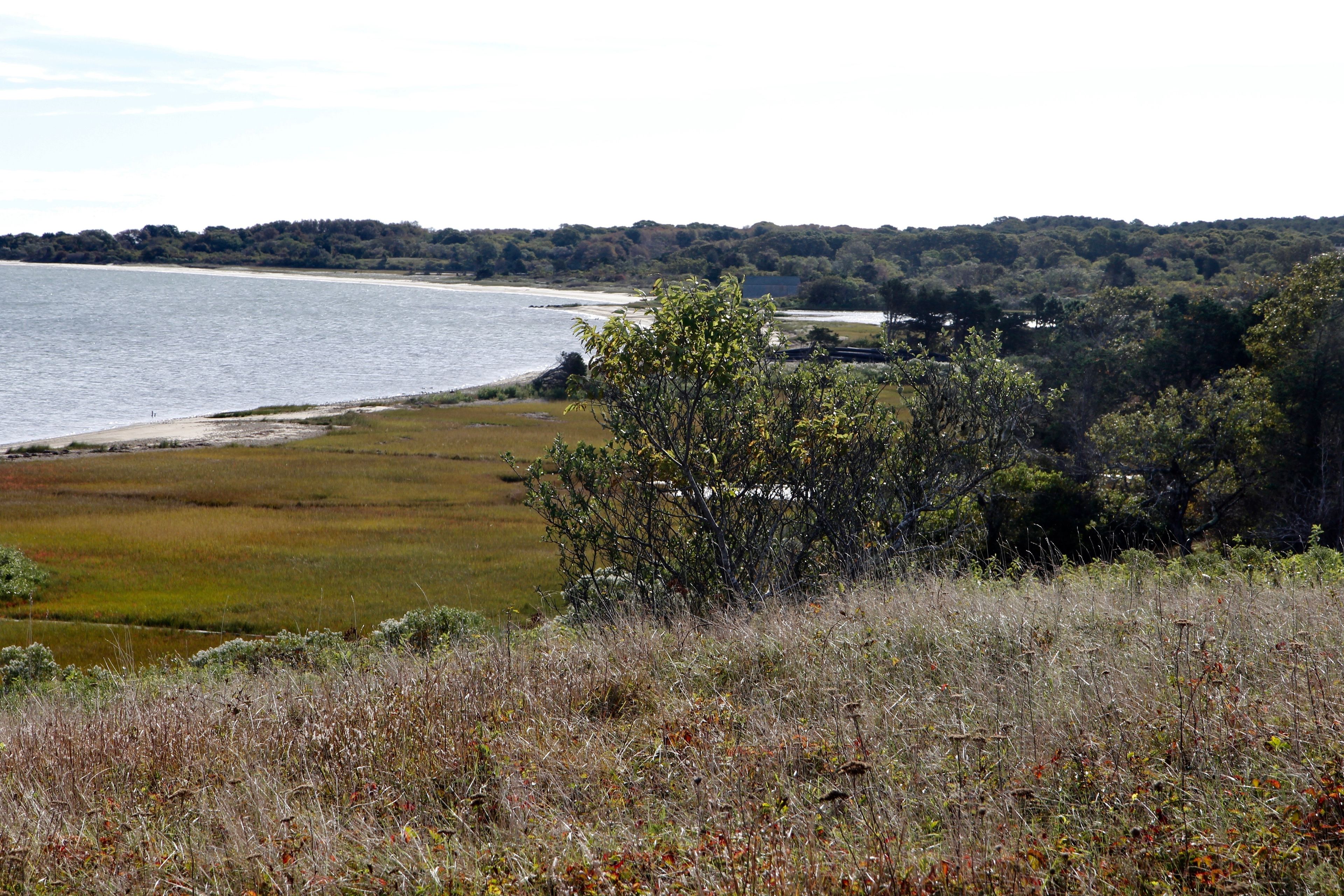 view of Bay from trail