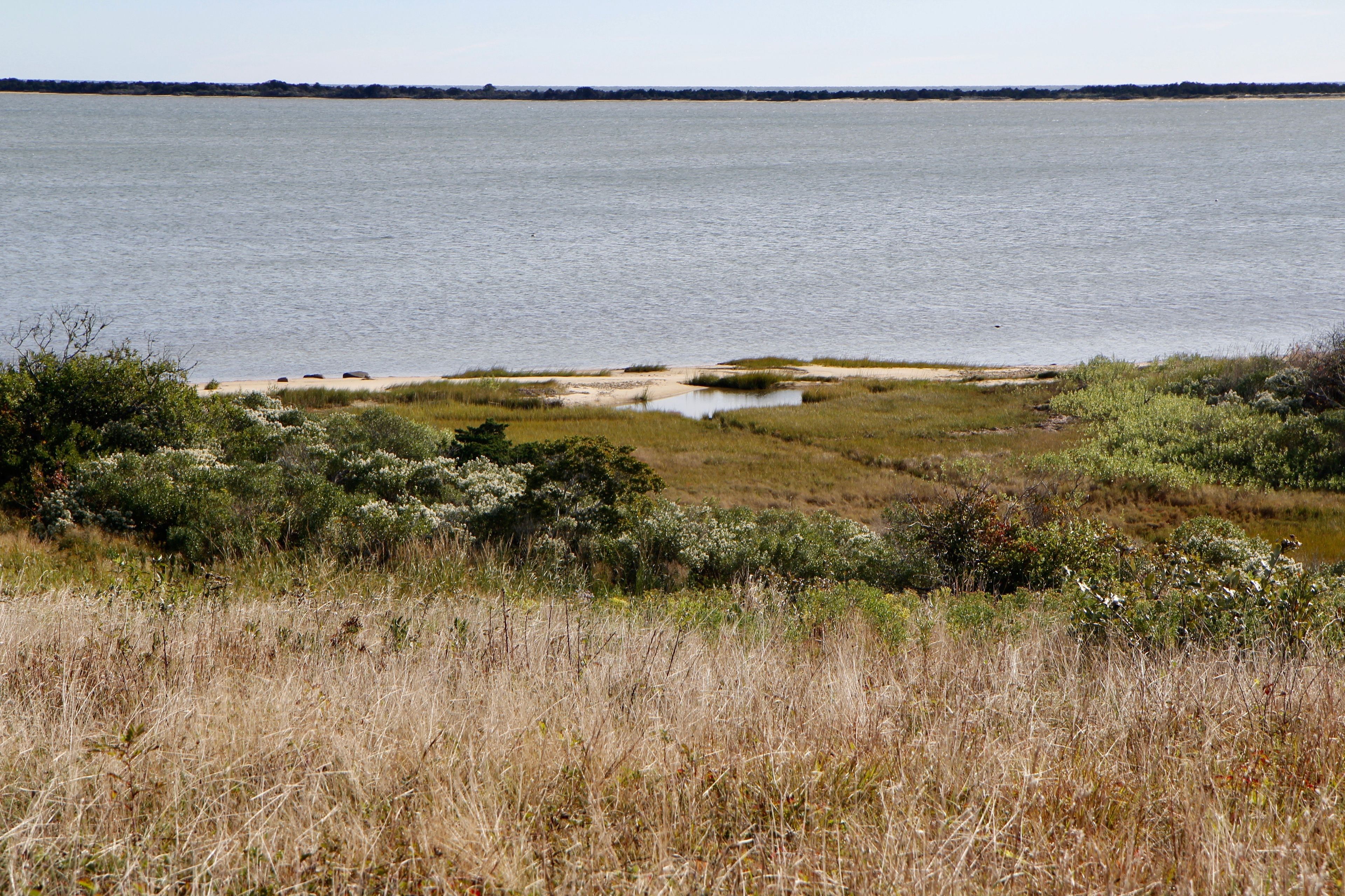 view of Bay from trail