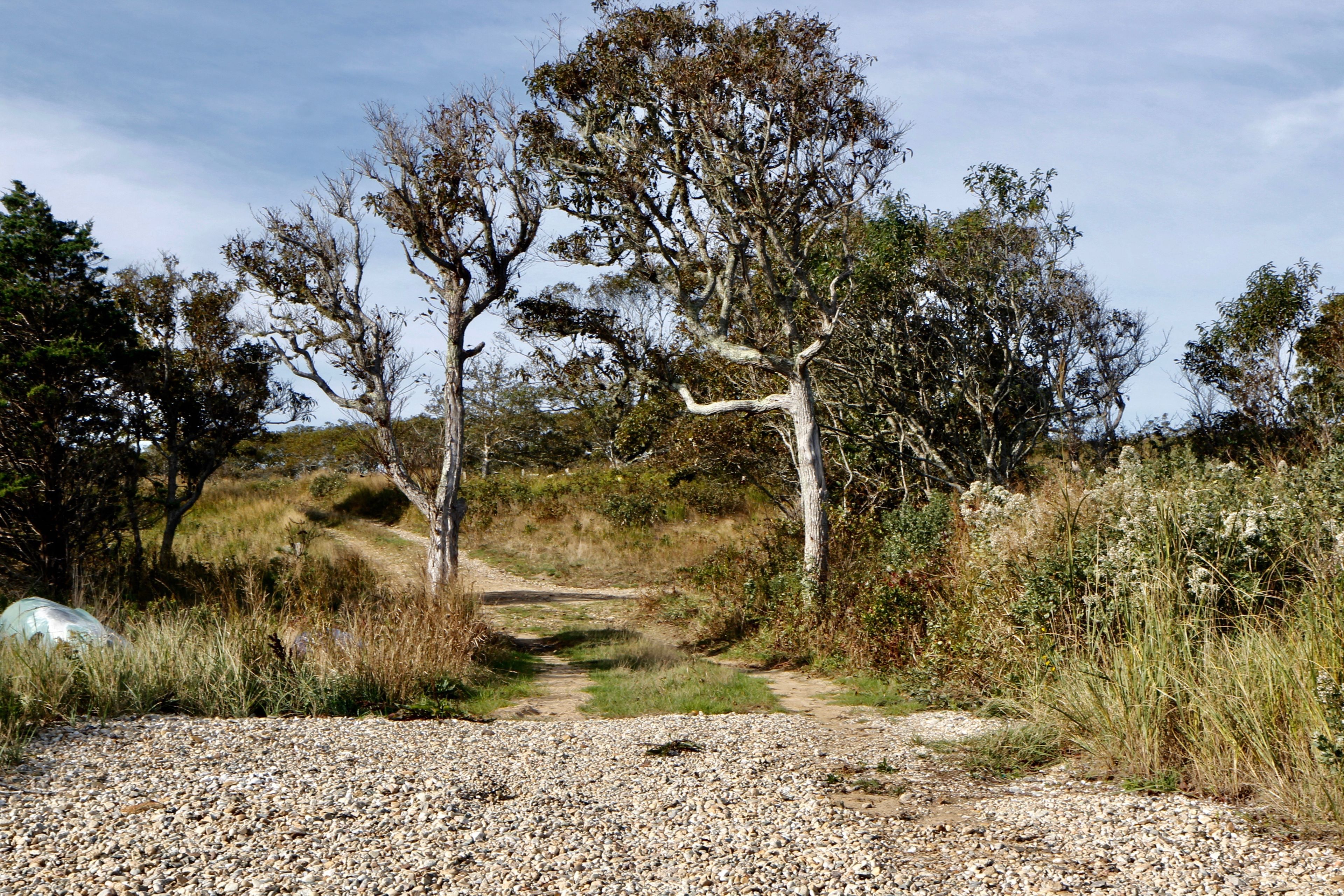 trail end at beach