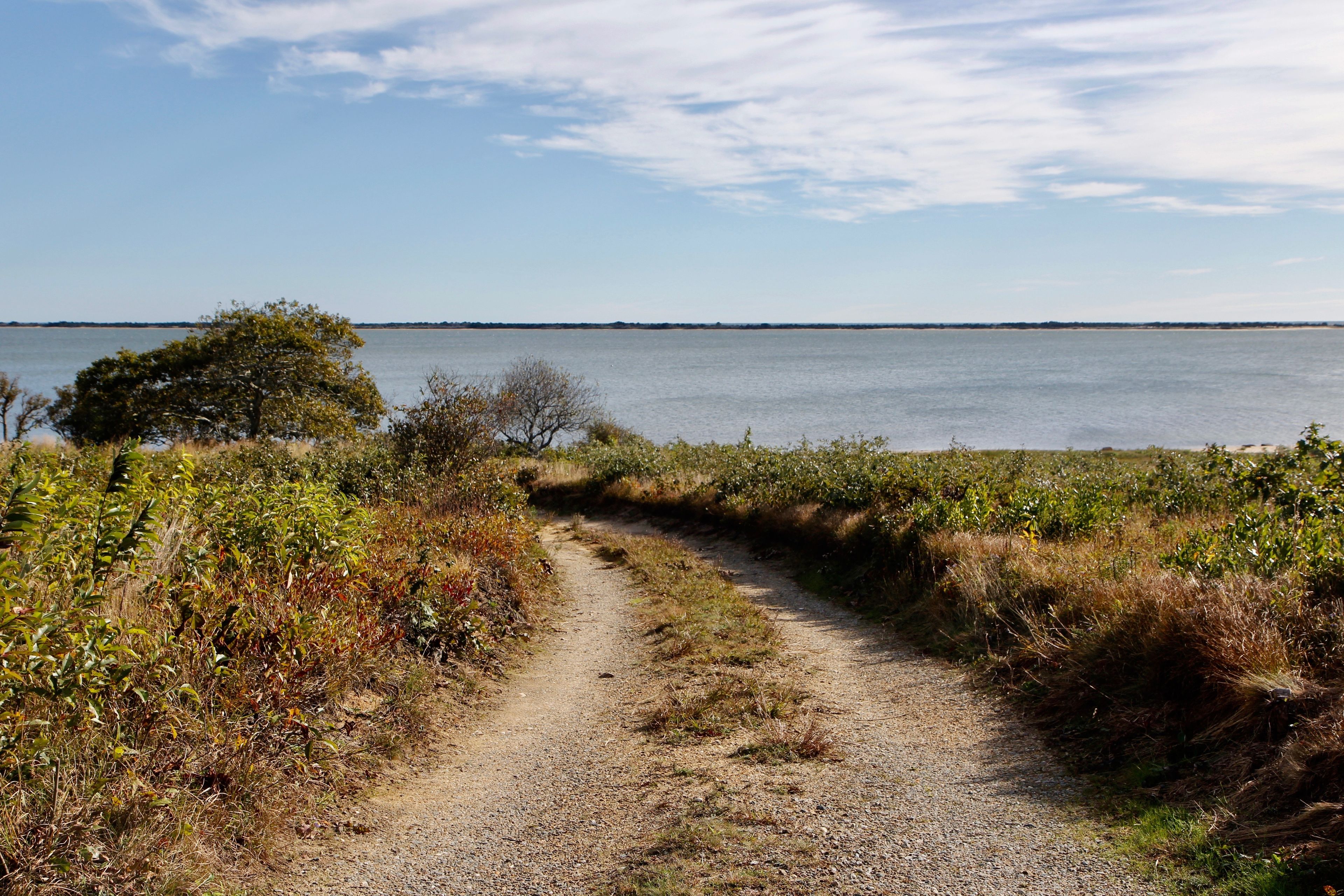 dirt road/boat launch road